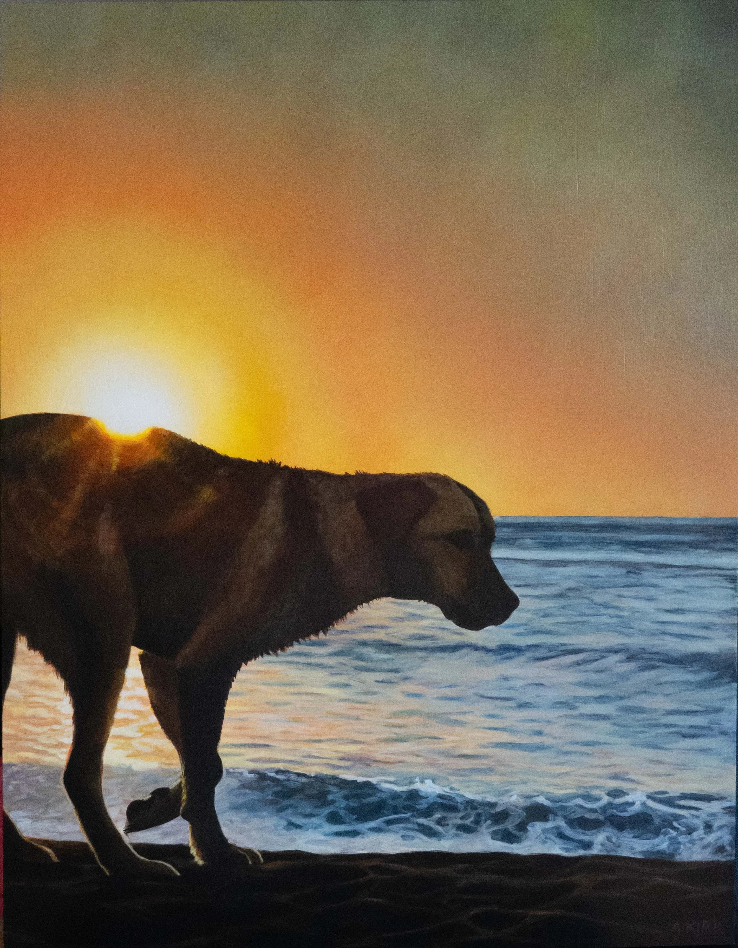 Kohwai at the beach 2025