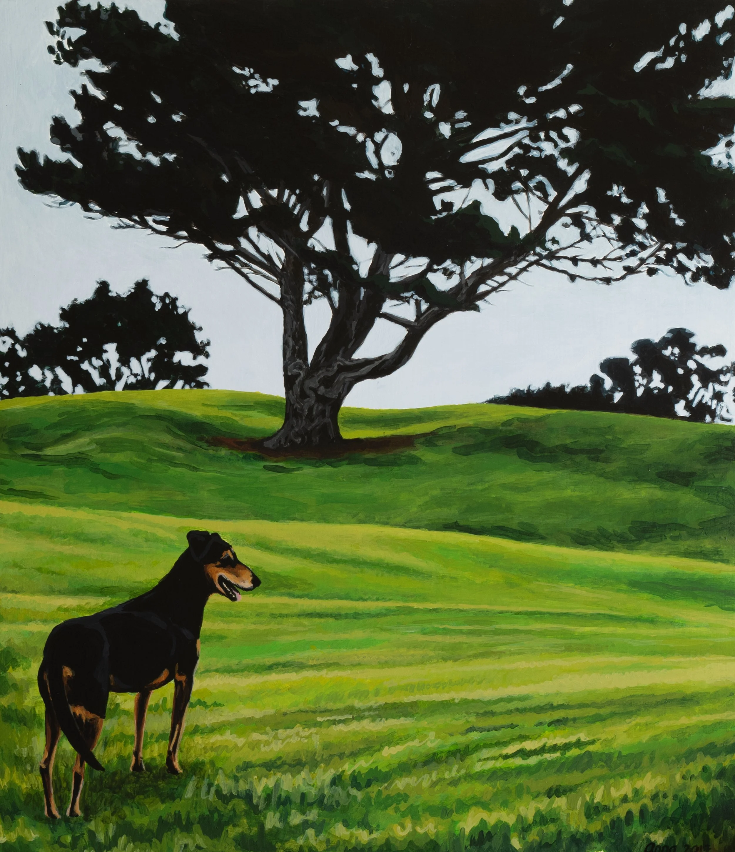 Lucy At Fitzroy Golf Course