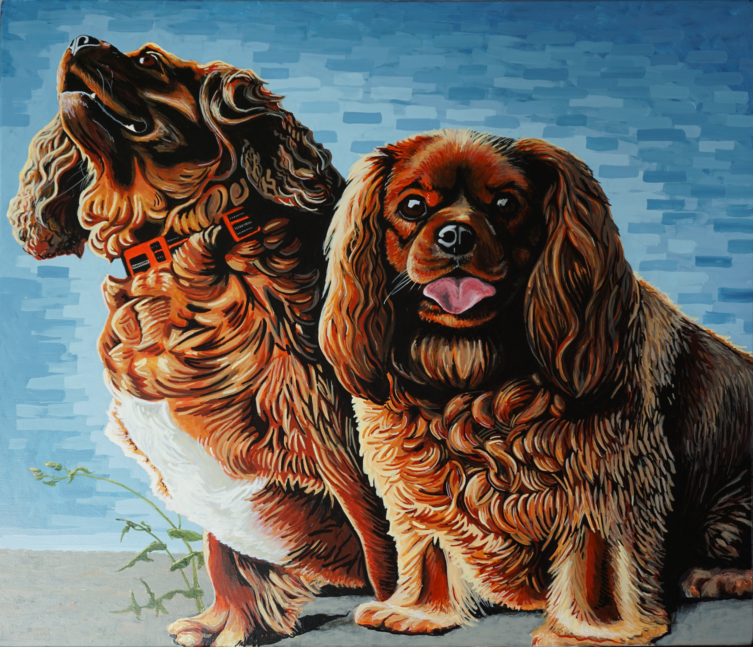 Jc's Dogs 2025