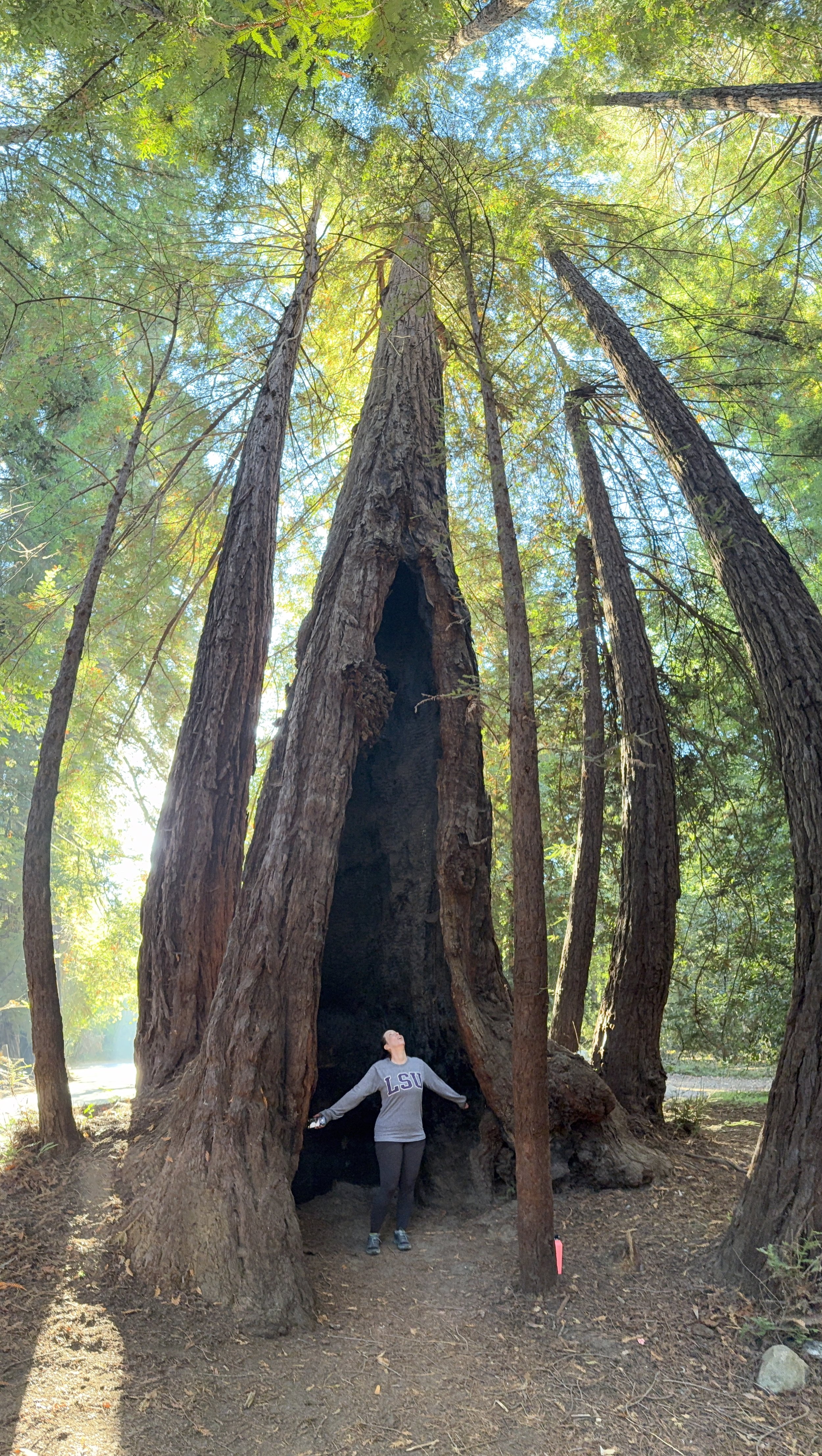 Julia Pfeiffer Burns State Park