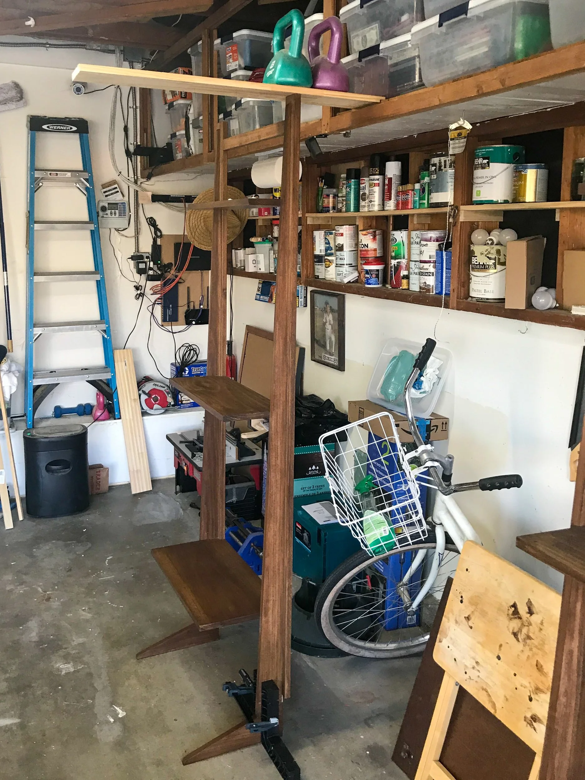 shelves-59270467717__CE324E28-24AB-4538-A48C-CA52DF5103D8.jpg
