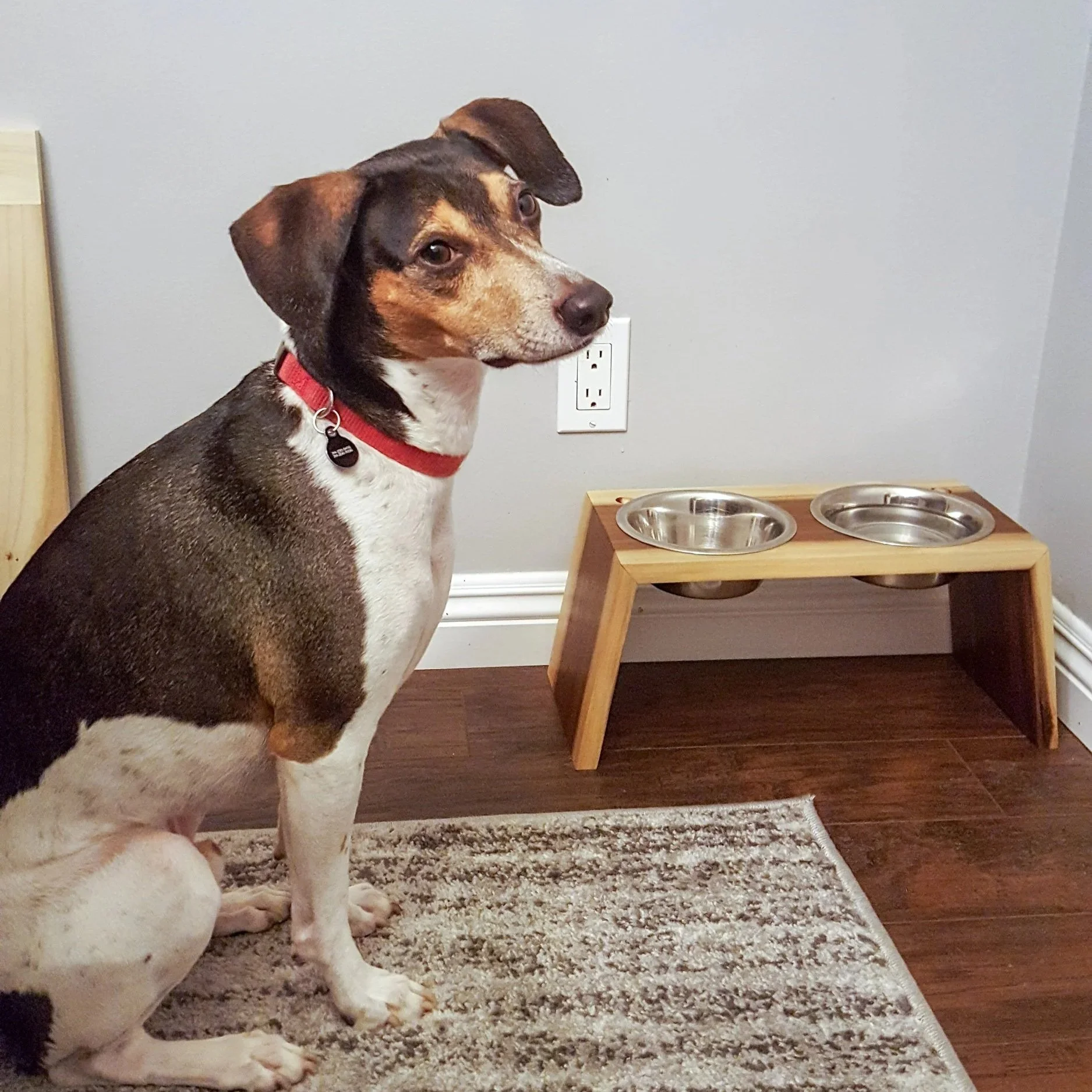 Dog Bowl Holder