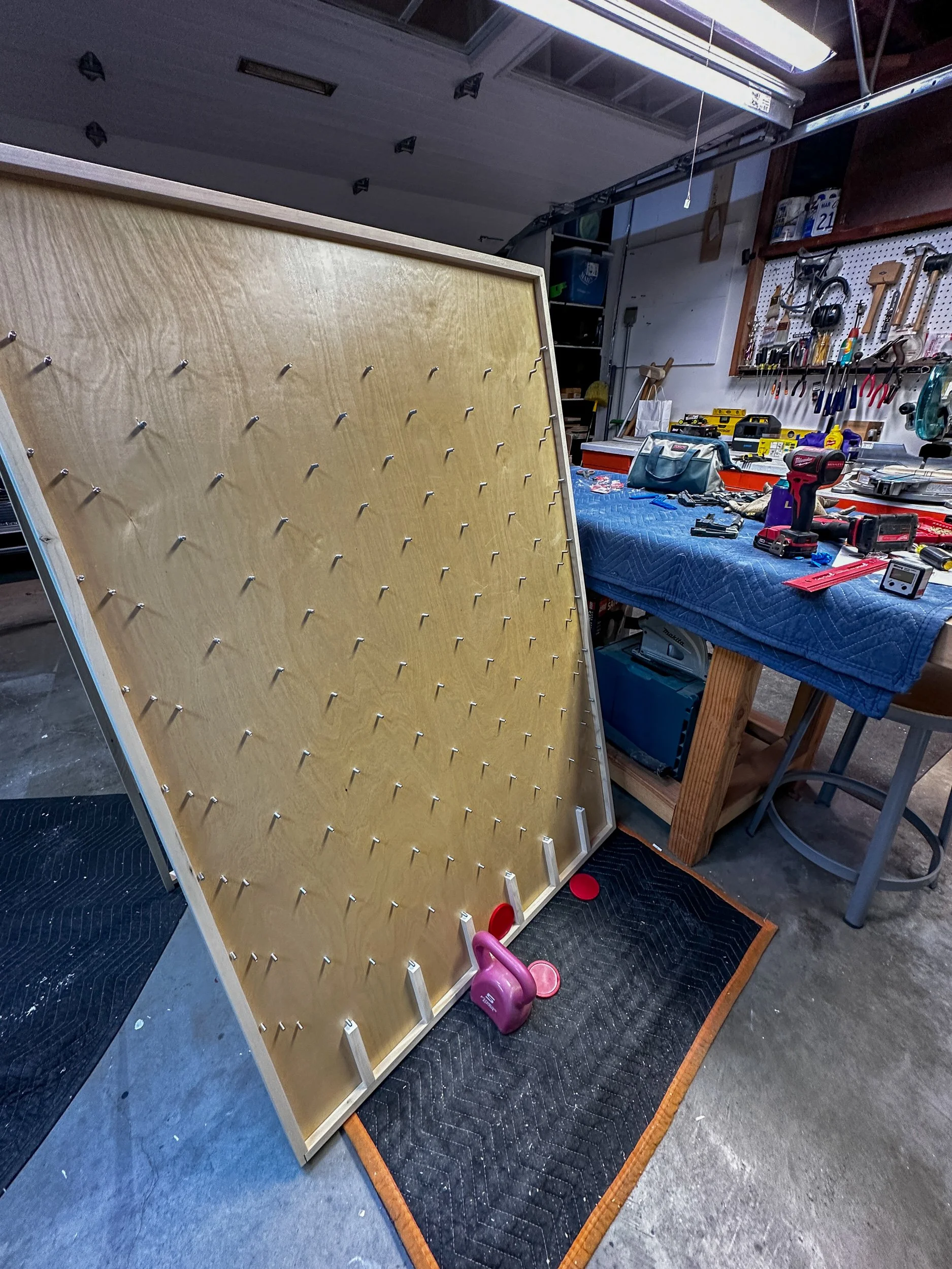 plinko-IMG_8309.jpg