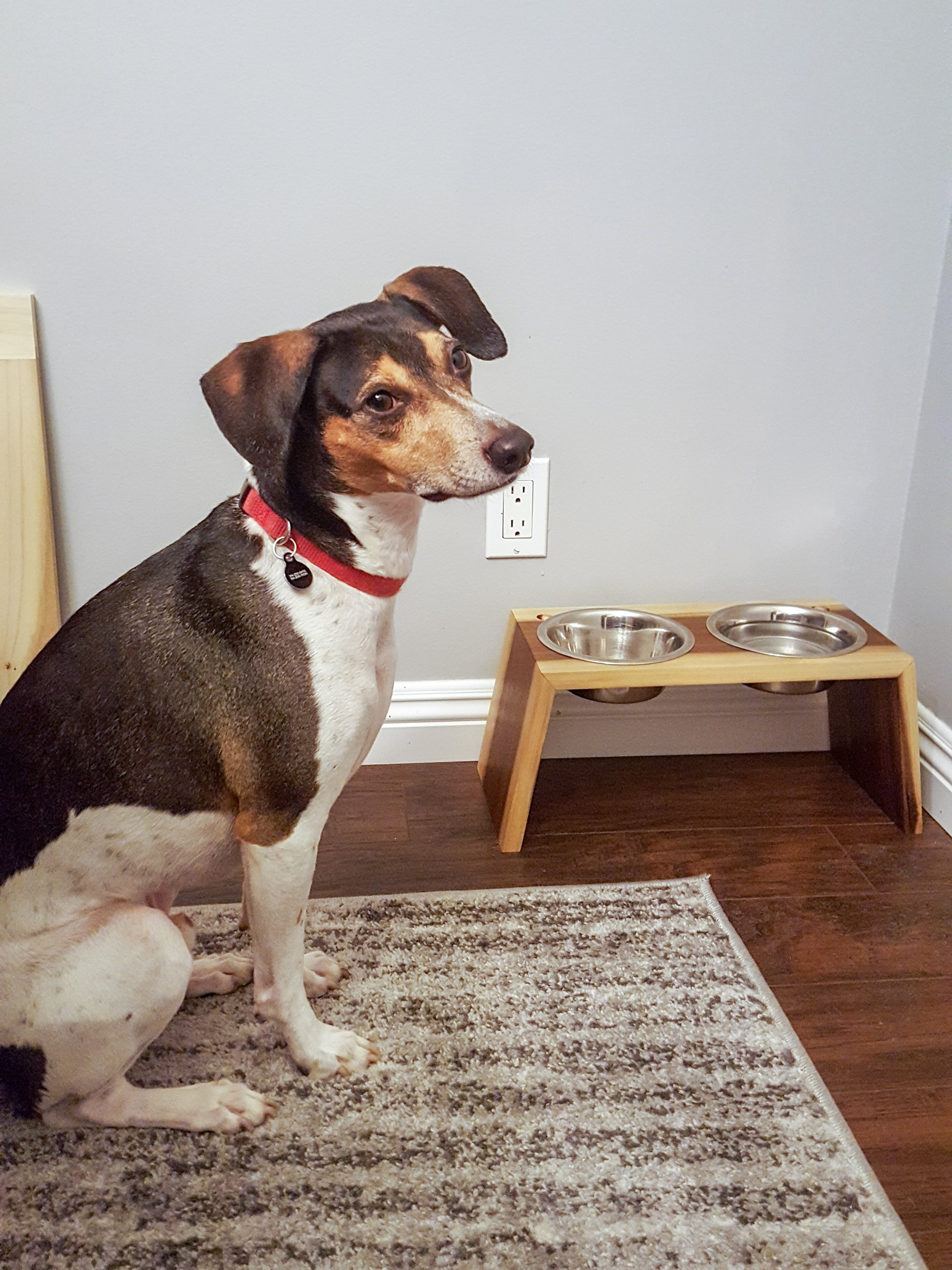 dog-bowl-holder-20170305_181950.jpg
