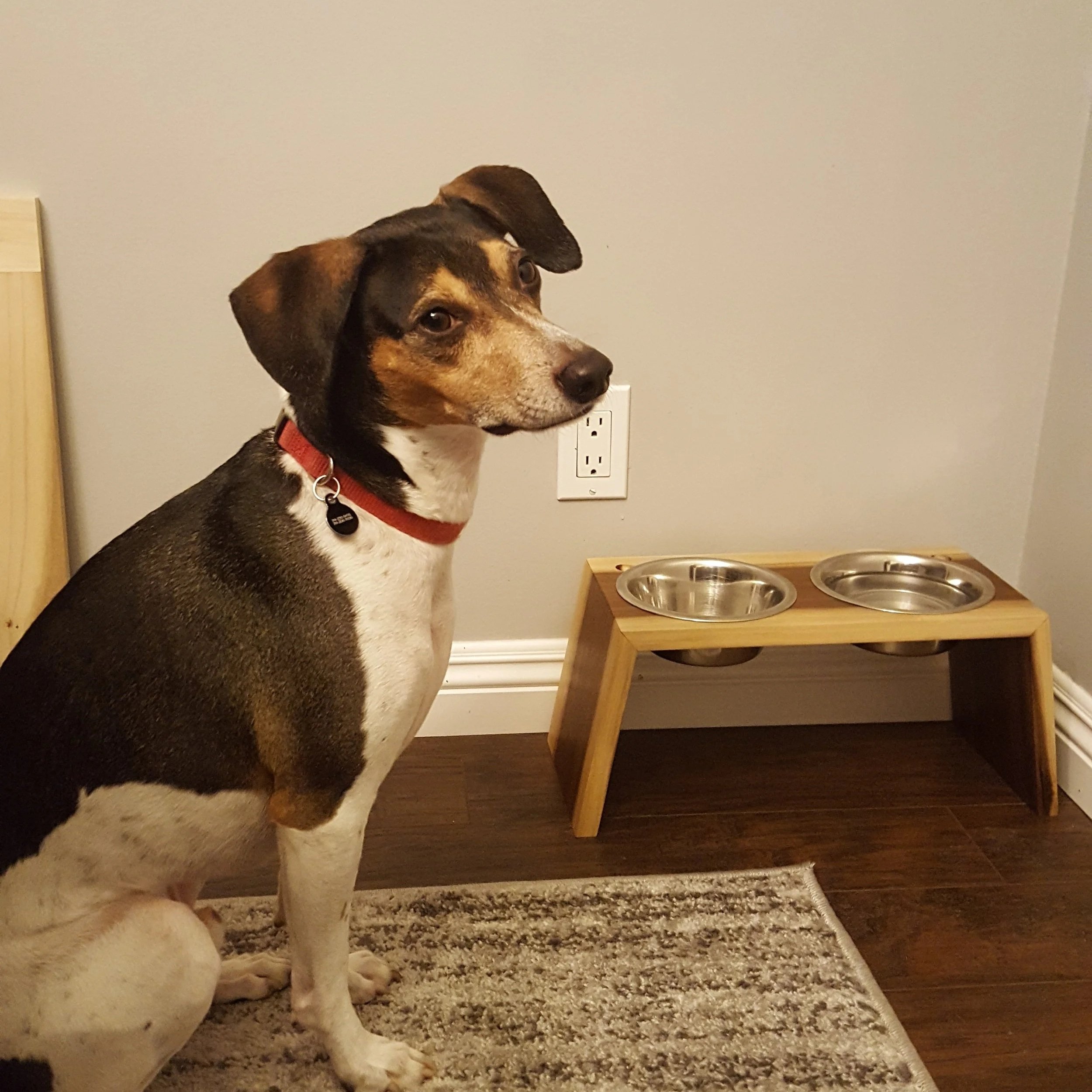 Dog Bowl Holder