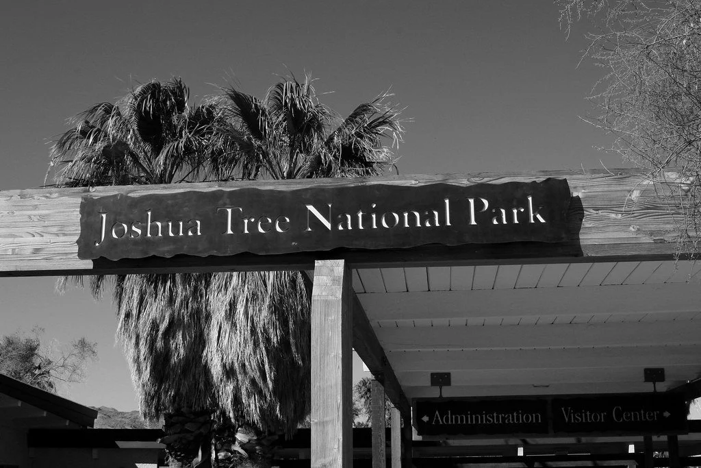 Joshua Tree