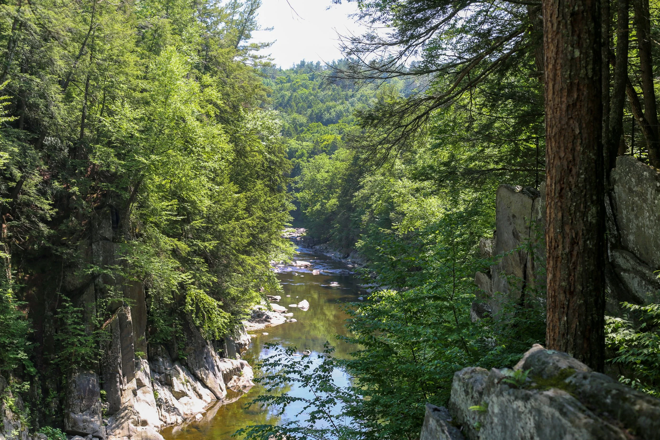 GORGE 4J0B2709.jpg