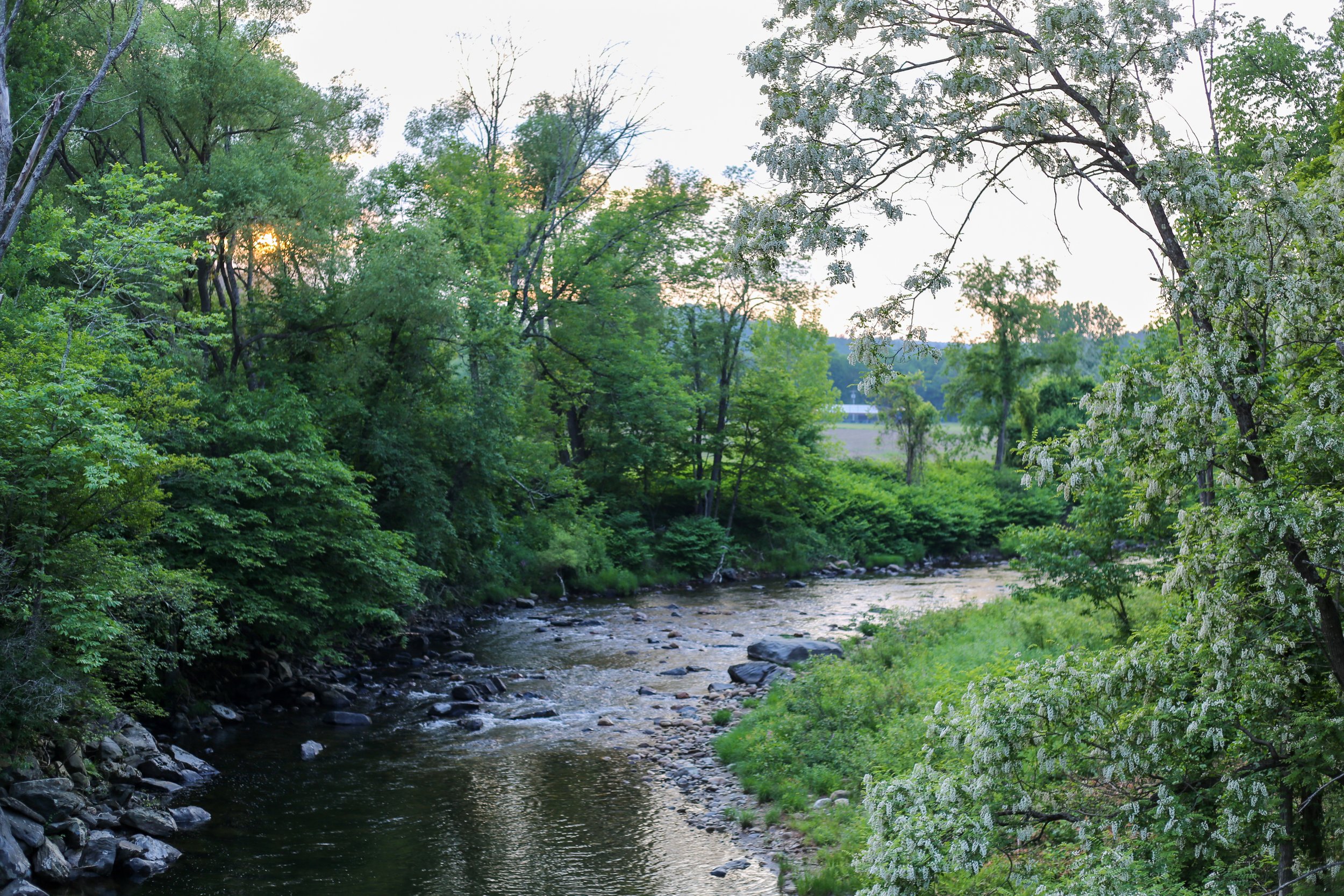 RIVER 4J0B2610.jpg