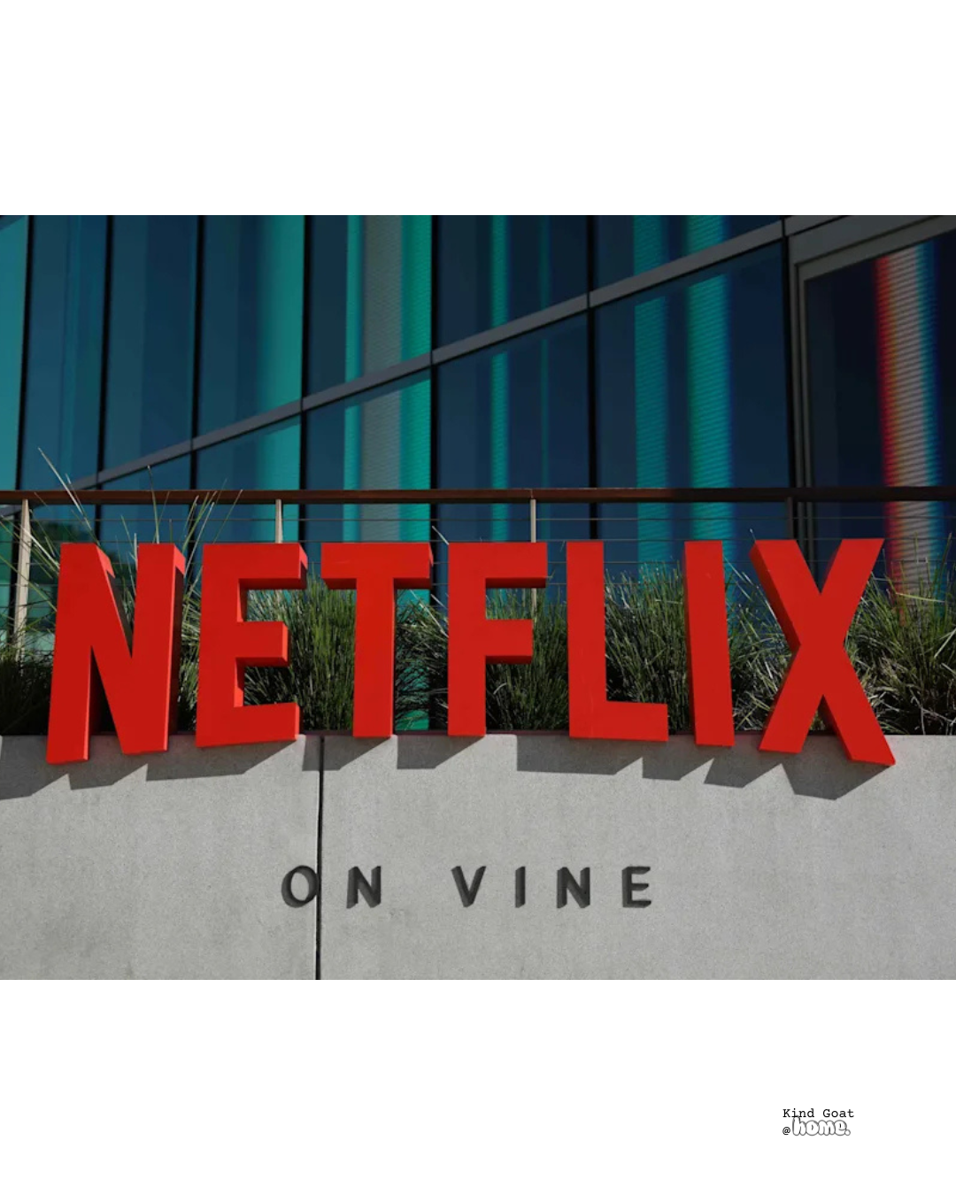 Exterior of a building with neon blue windows and large red 'NETFLIX' sign on a concrete wall, with the words 'ON VINE' beneath.