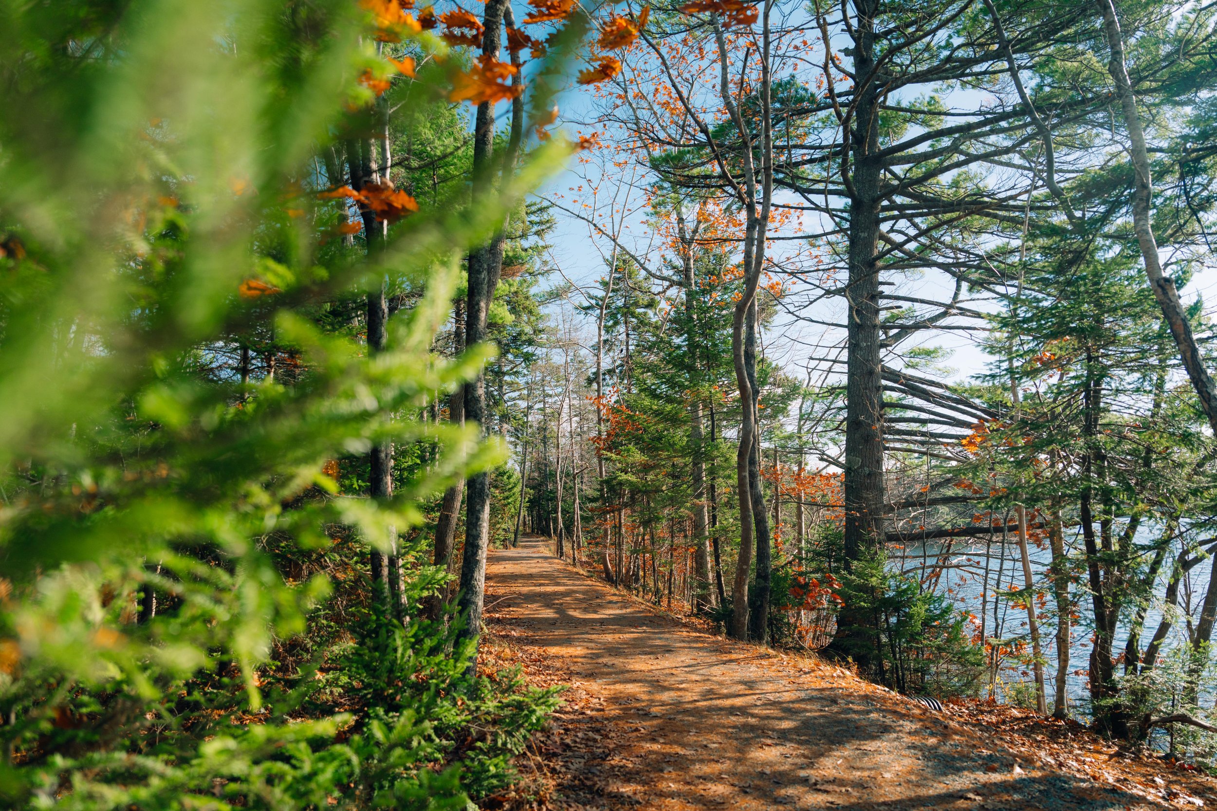 Pedestrian walking along the scenic First Lake trail with calm water in the background in Lower Sackville.