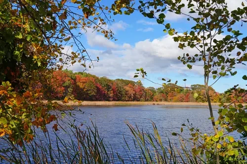 Embracing Autumn's Splendor: Watching the Leaves Change in Maine