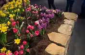2018 Maine Flower Show
