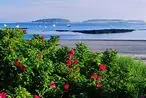 Top Paddling Destinations in Casco Bay