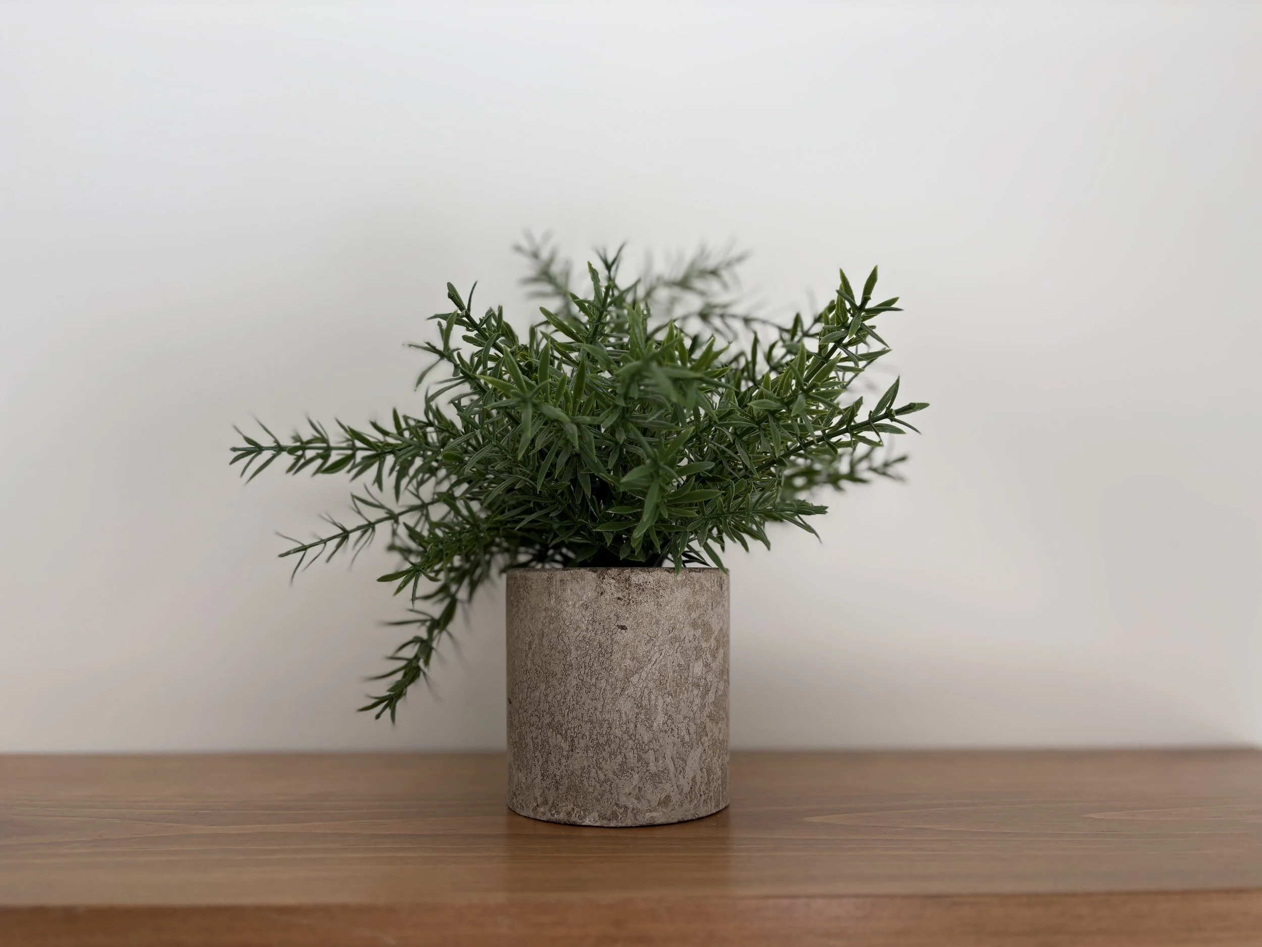 Green herb plant in a decorative concrete pot on a wooden surface against a plain white background.