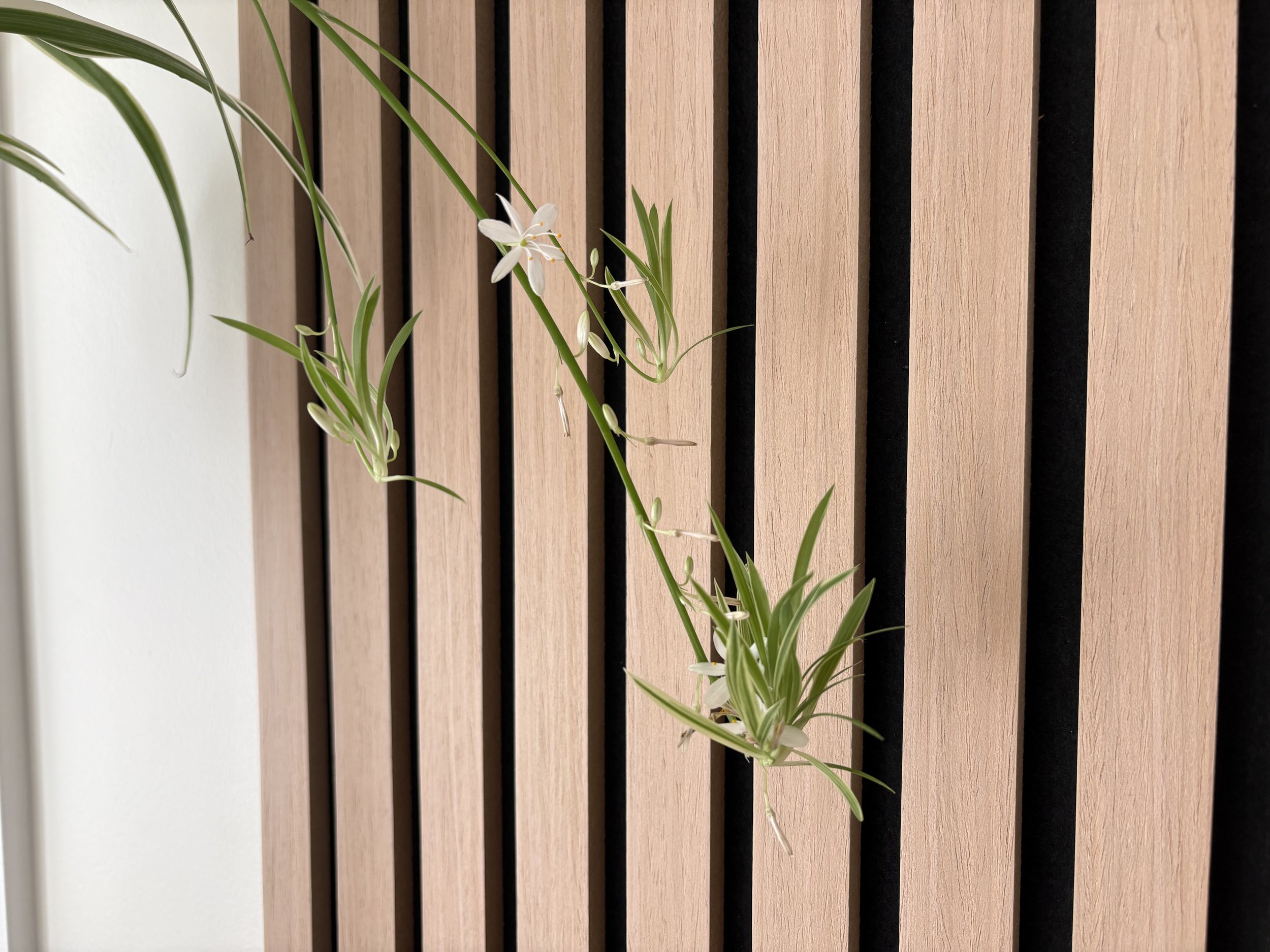 A sprig of greenery with small white flowers leaning against a wooden slatted wall.