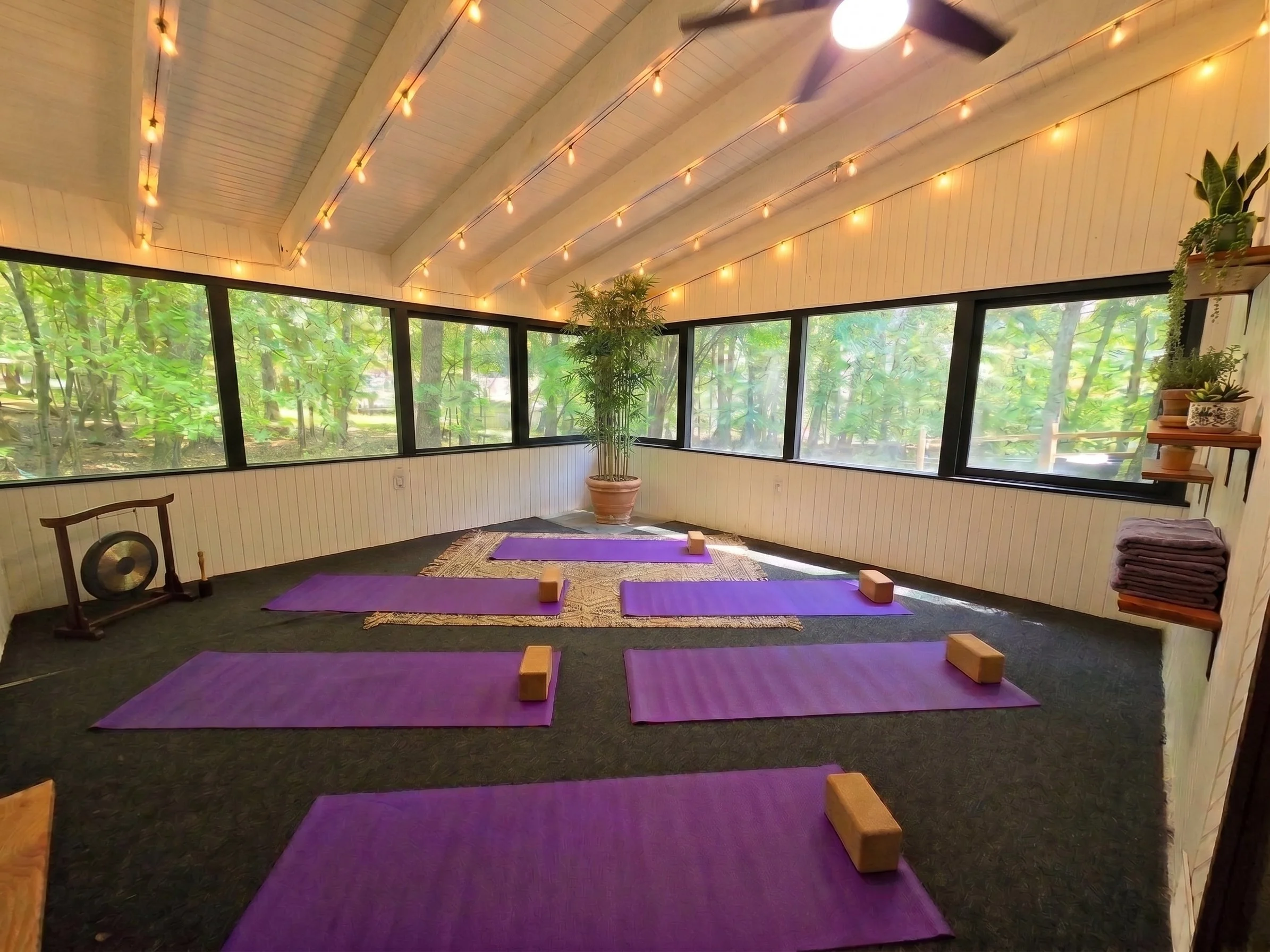 Indoor yoga studio with purple mats and wooden blocks, large windows showing trees outside, and string lights hanging from the ceiling, with potted plants on shelves.