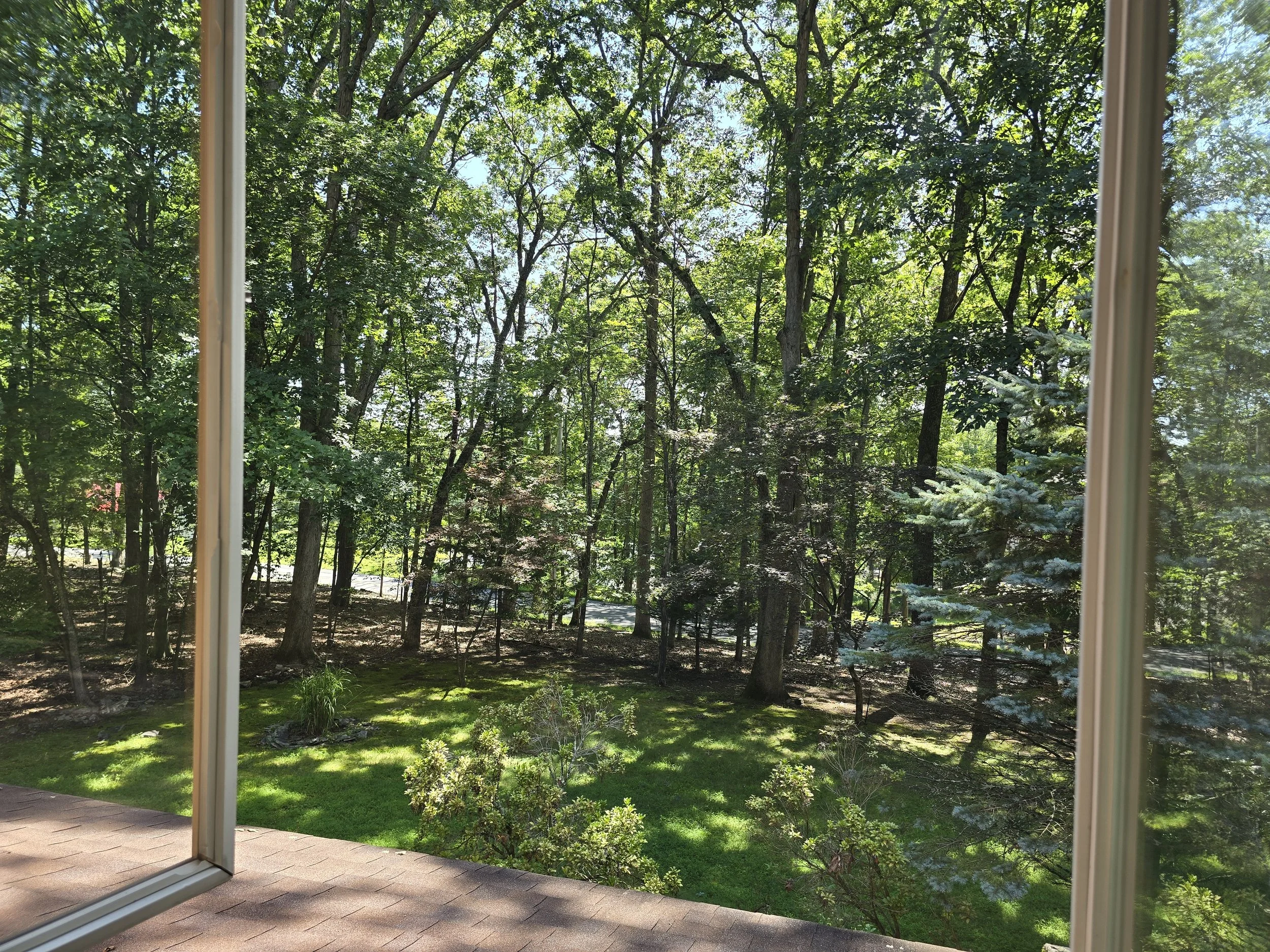 Scenic view from sober living bedroom window showing lush green trees, natural sunlight, and a peaceful wooded yard