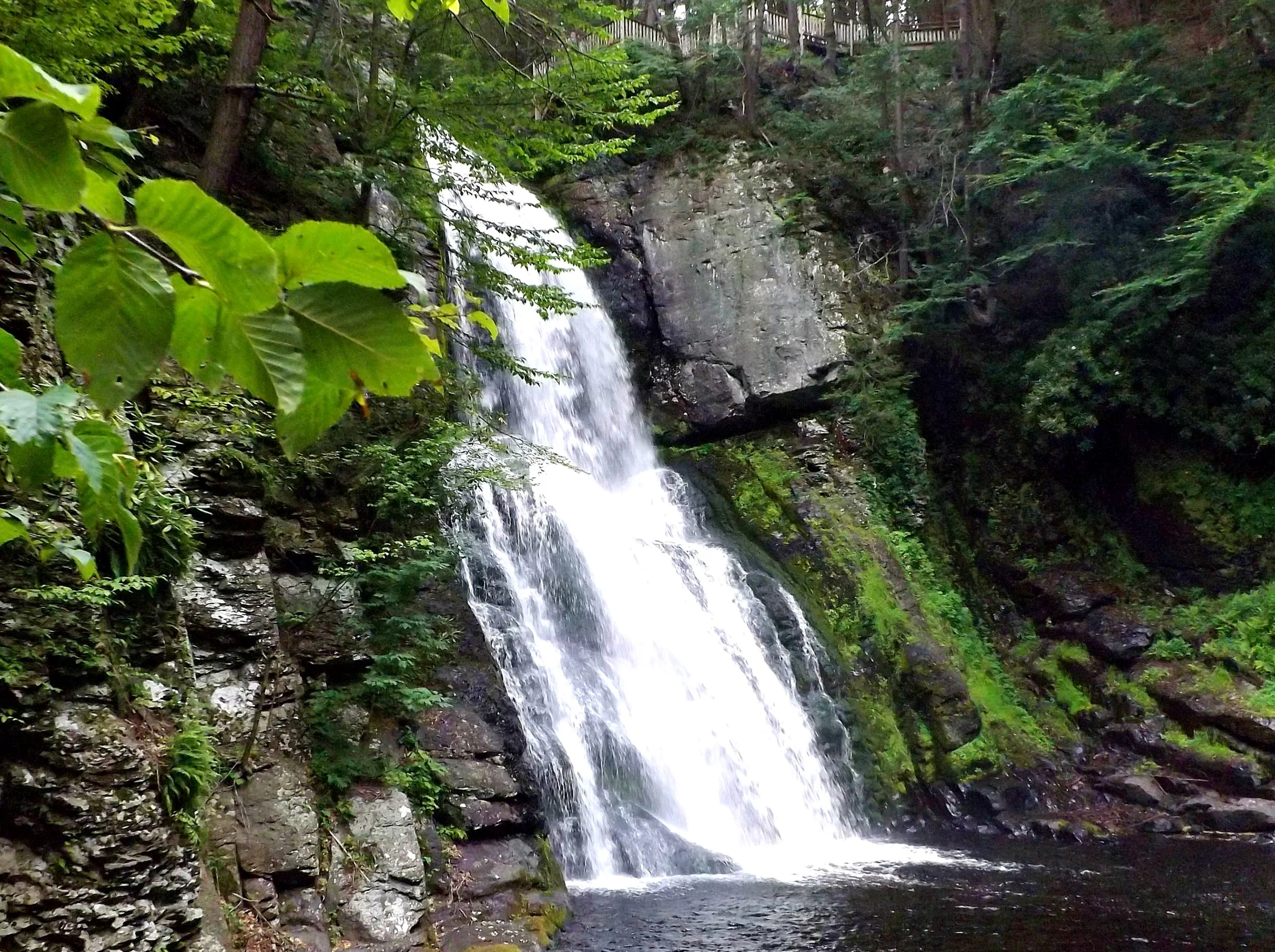 Scenic natural waterfall cascading down a rocky cliff surrounded by lush green trees in the Pocono Mountains of Northeast Pennsylvania
