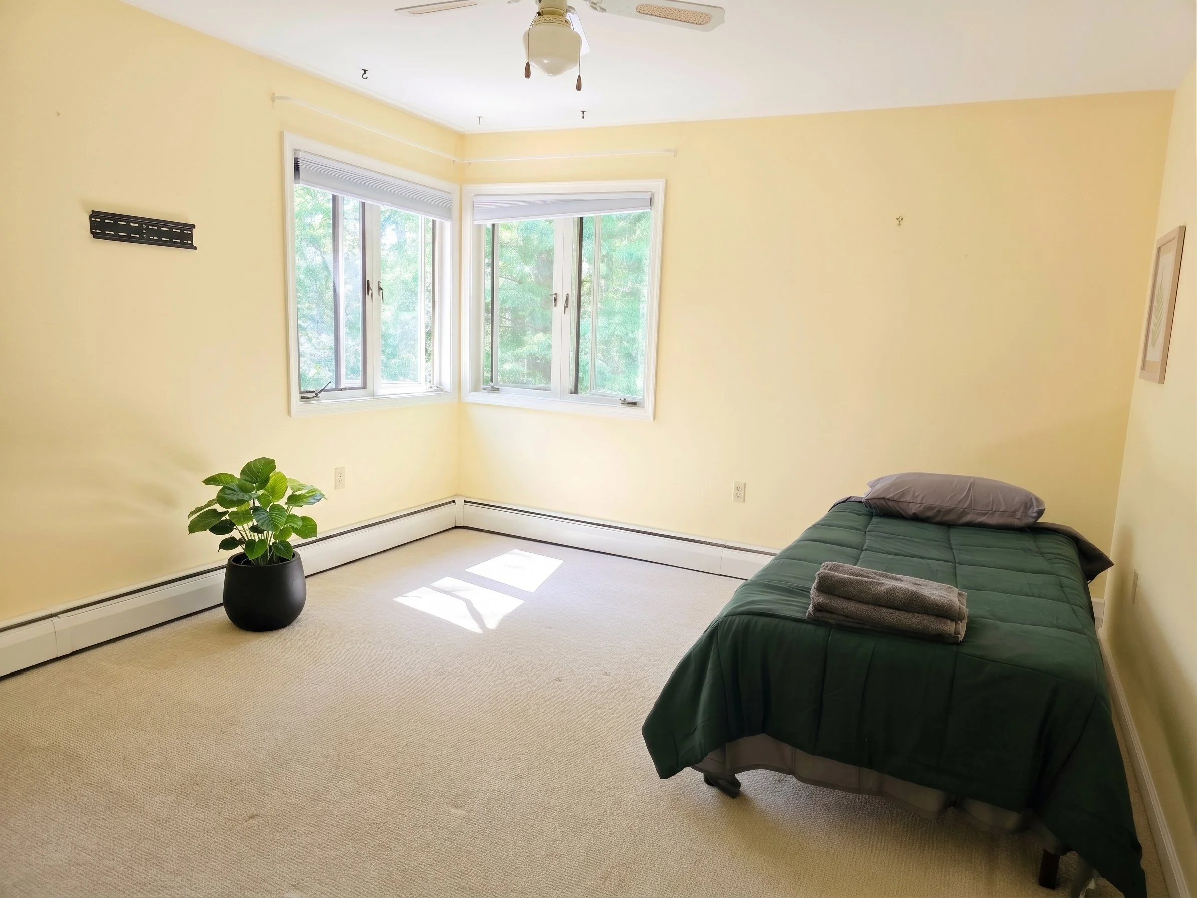Sunny, spacious sober living bedroom with yellow walls, carpeted floor, single bed, potted leafy plant, and corner windows