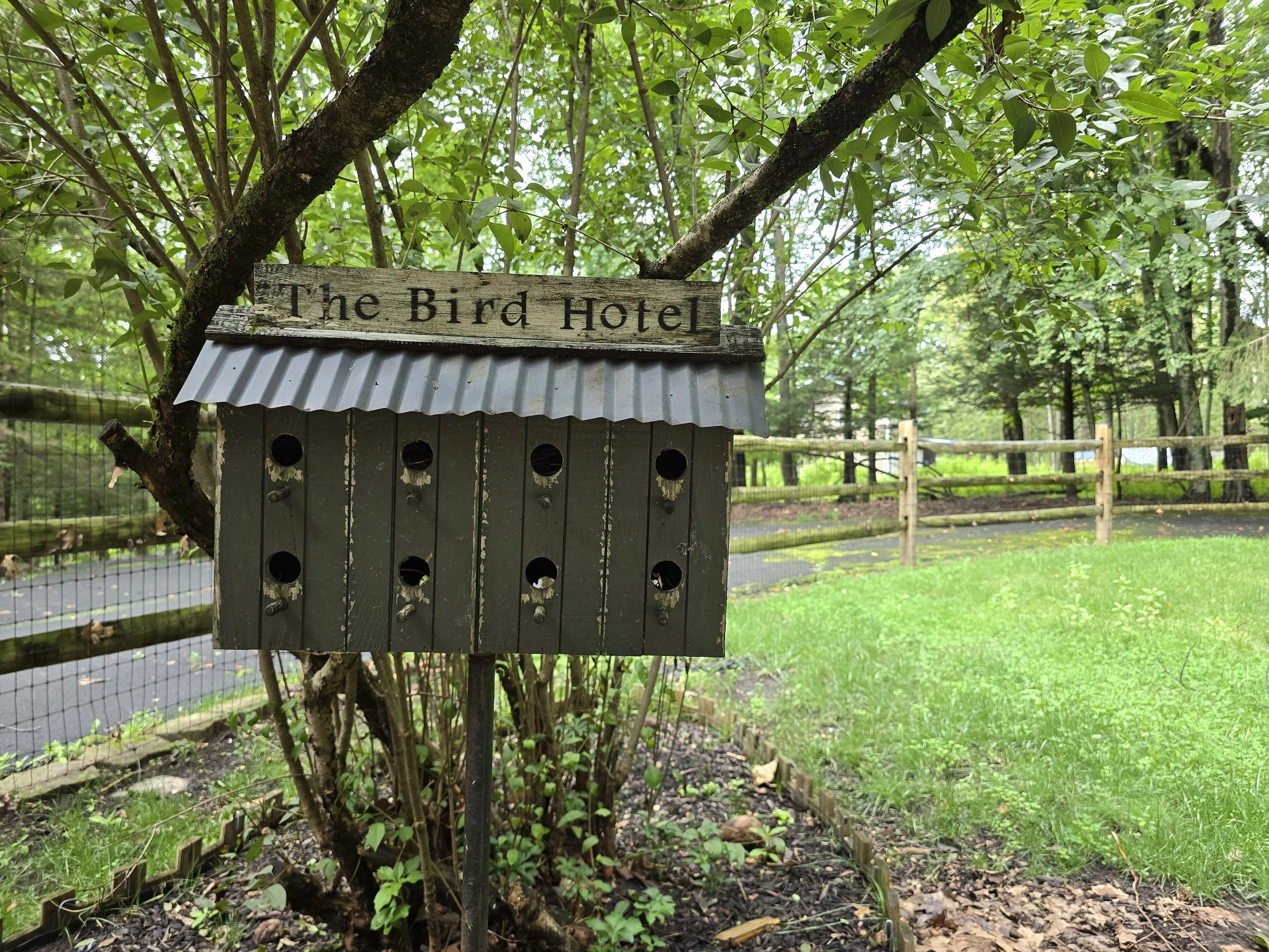 Peaceful wooden birdhouse titled The Bird Hotel in the lush backyard grounds of New Soil Sober Living residence in Northeast Pennsylvania.