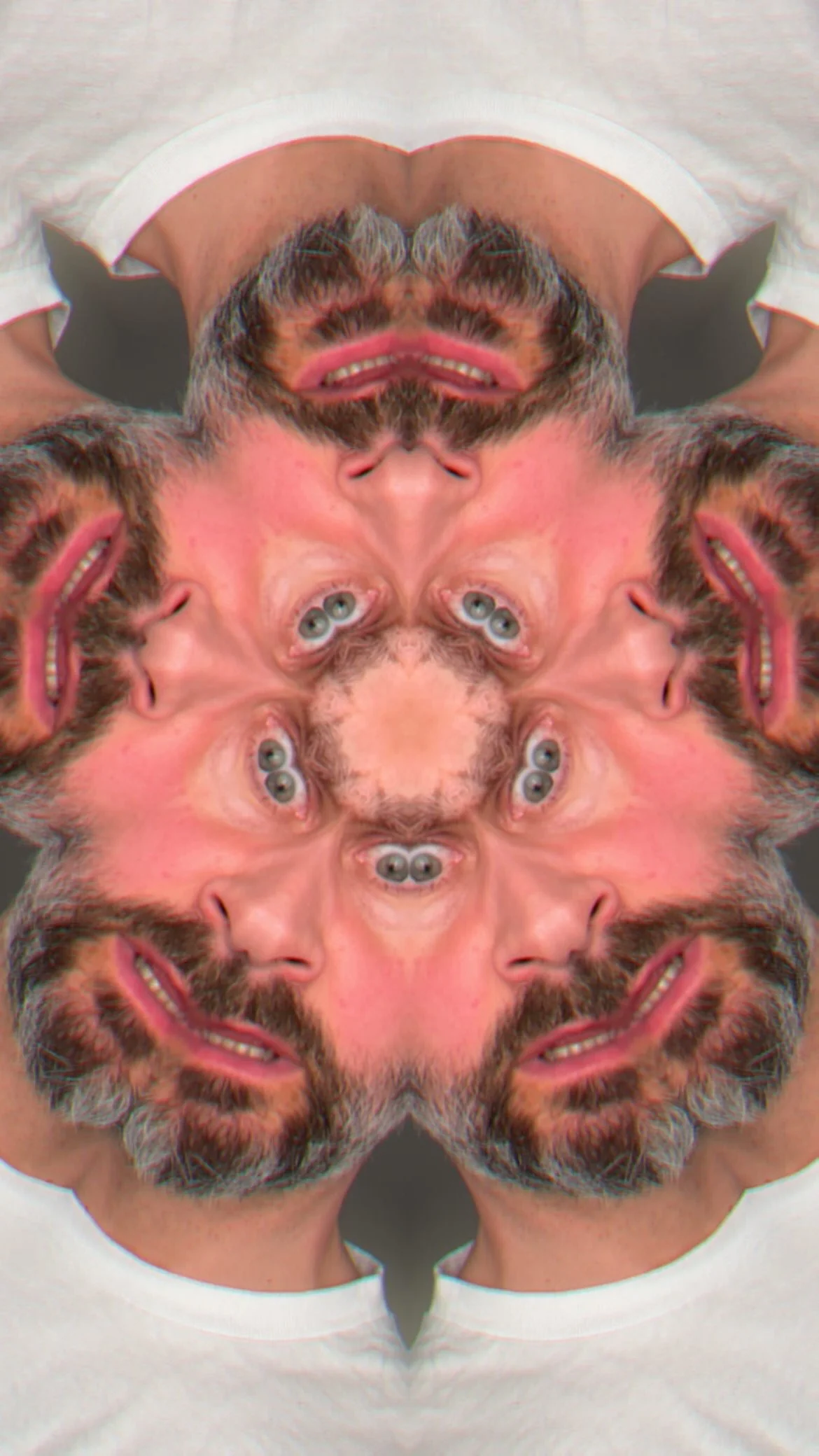 1%2Bflipped.png