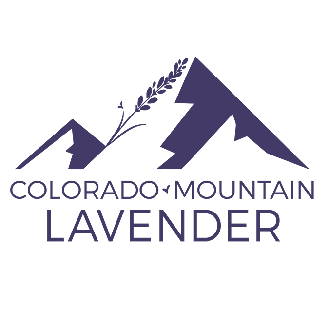 Colorado Mountain Lavender  (Copy)