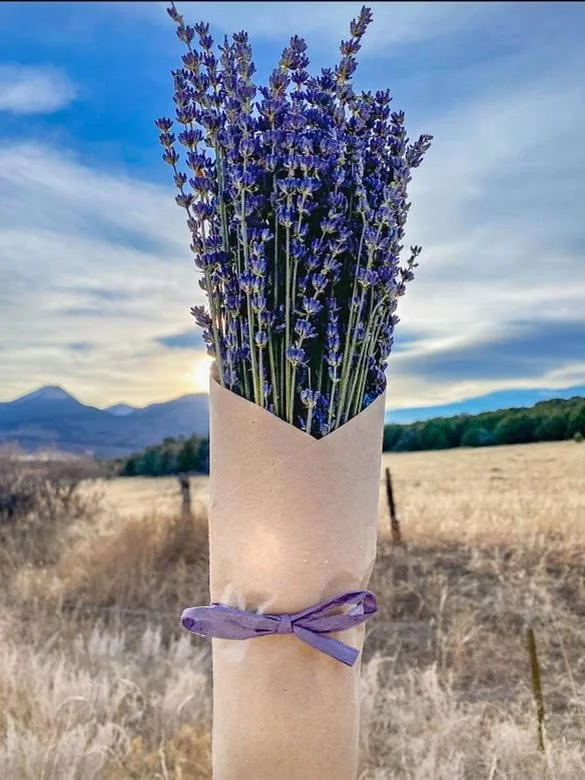 Bouquet of purple lavender flowers wrapped in brown paper with a purple ribbon, held outdoors with mountains and a cloudy sky in the background.