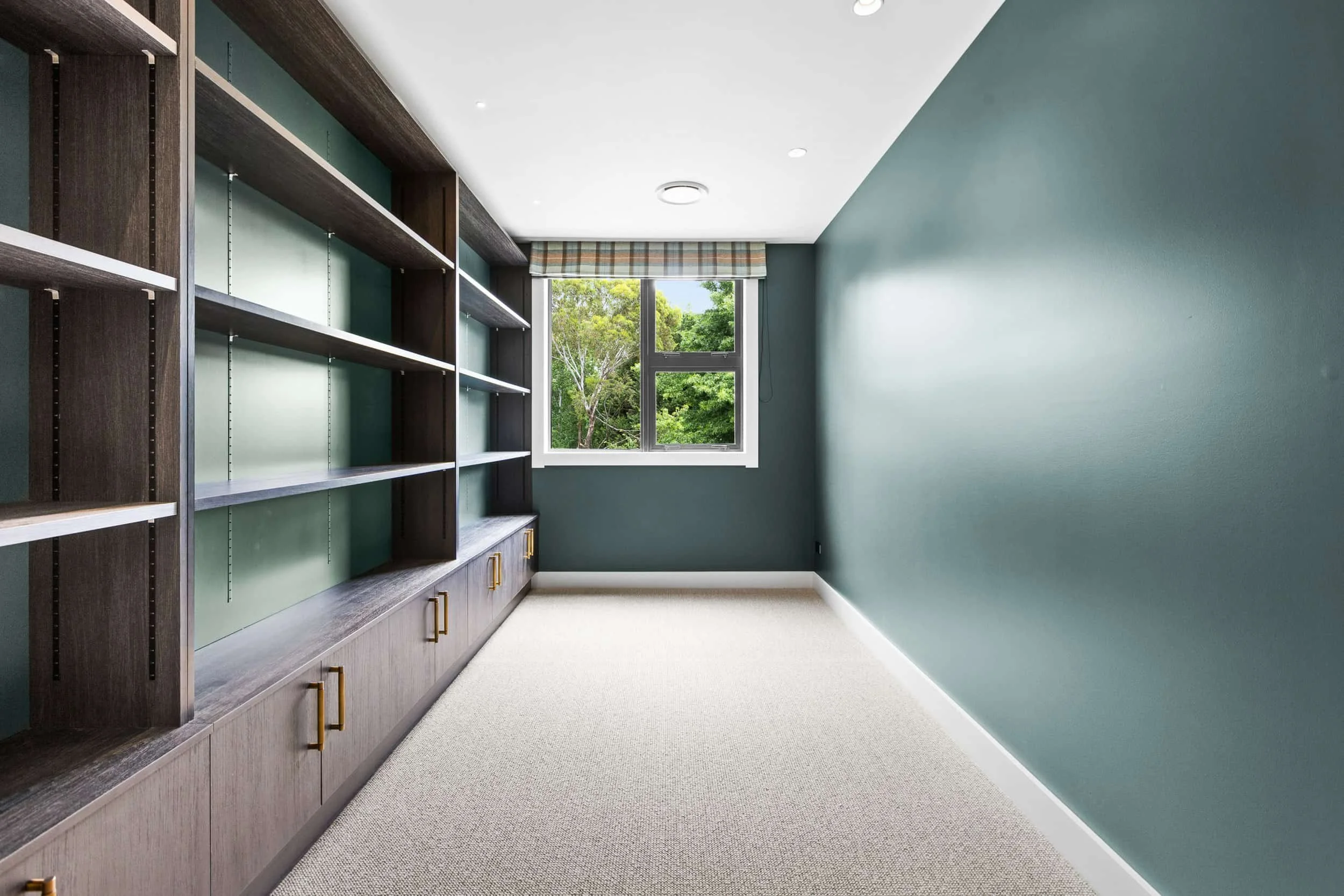 Walk in wardobe with green / blue walls