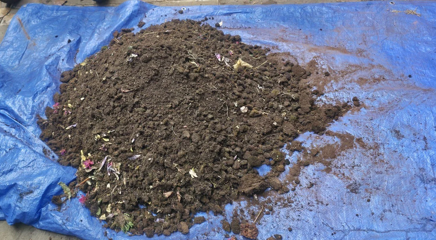 Canterbury-Roof-4-Moss-Removed.jpg