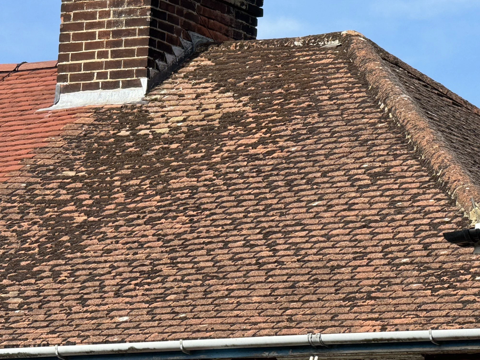 Canterbury-Roof-2-Roof-Scraped.jpg