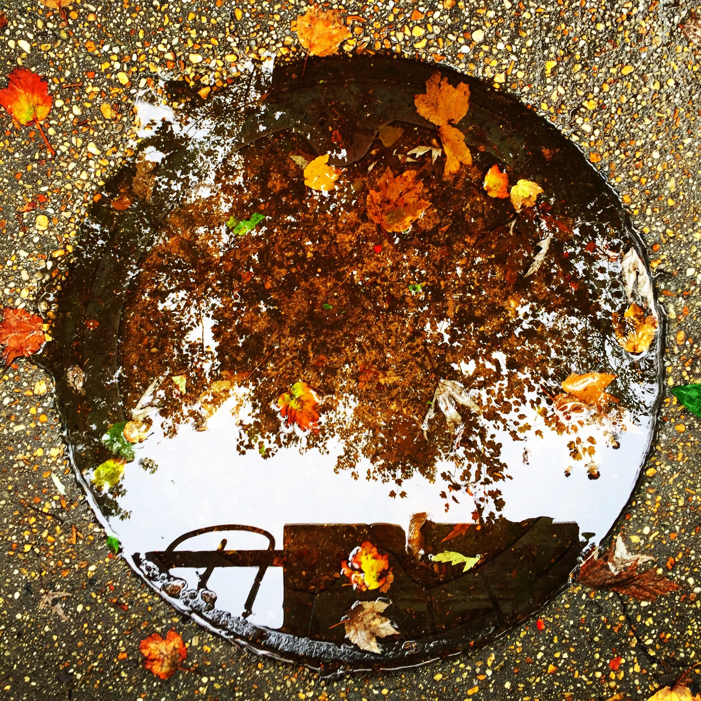 Servaites_ReflectionManhole_1.JPG