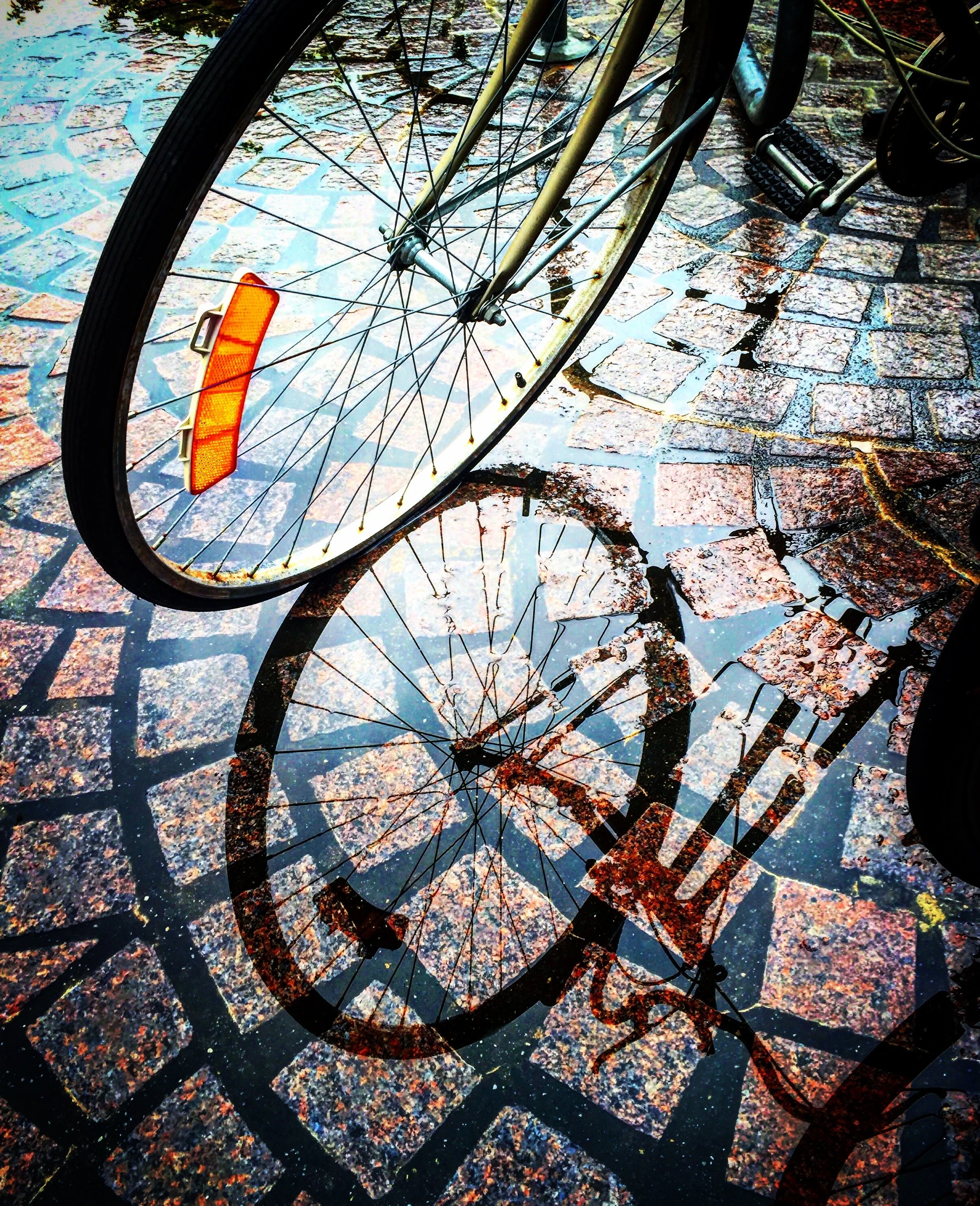 Servaites_ReflectionBikeLOC_4.JPG