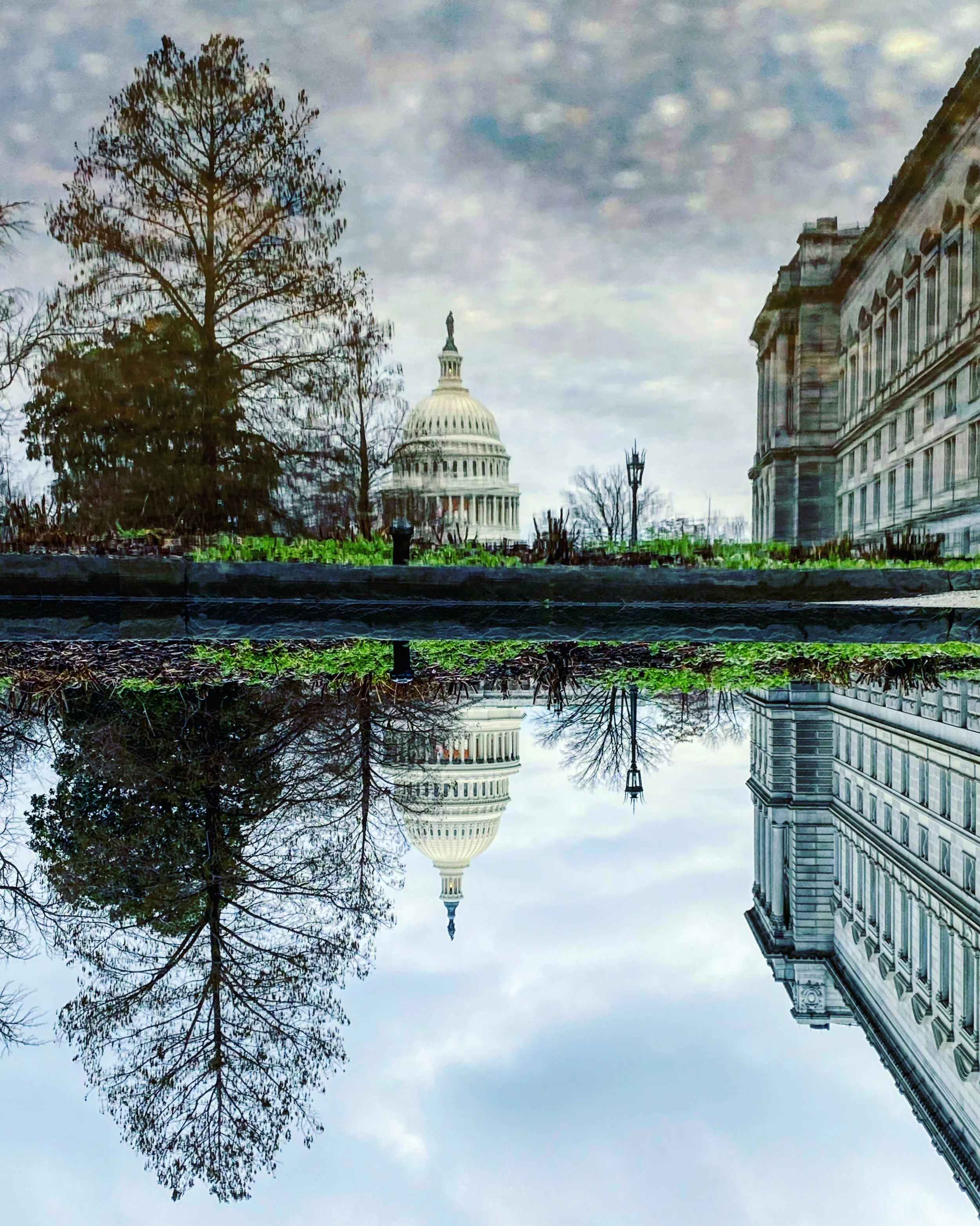 MonicaServaites_LibraryandCapitolReflection_Photo_17inx20in_$225.jpg