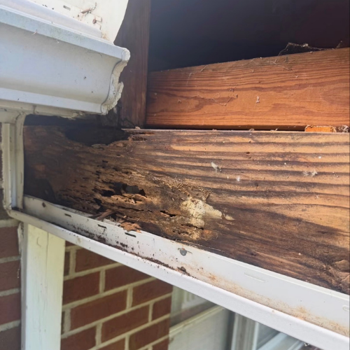 Close-up of rotting and damaged wood trim on a house window frame.
