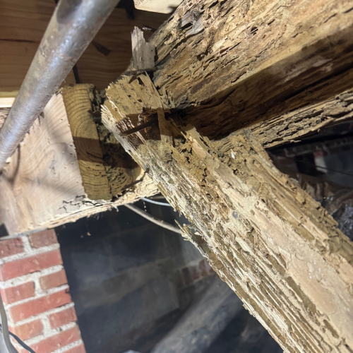 Close-up of a cracked and rotting wooden beam in a construction or renovation site.