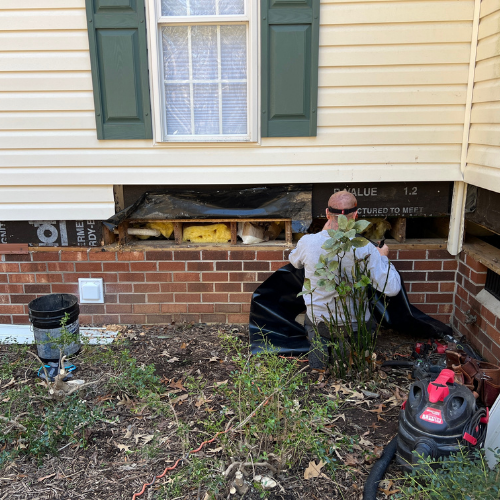 A man wearing a white shirt and sunglasses working on the foundation of a house. He is installing or repairing foundation insulation, with various tools and supplies around him, in a yard with a small shrub in the foreground.