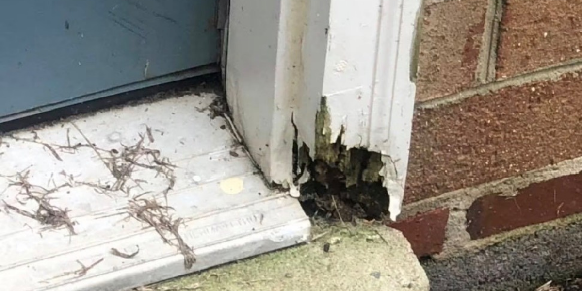 Close-up of a damaged house corner with rotting wood, cracked brick, and dirt accumulation.