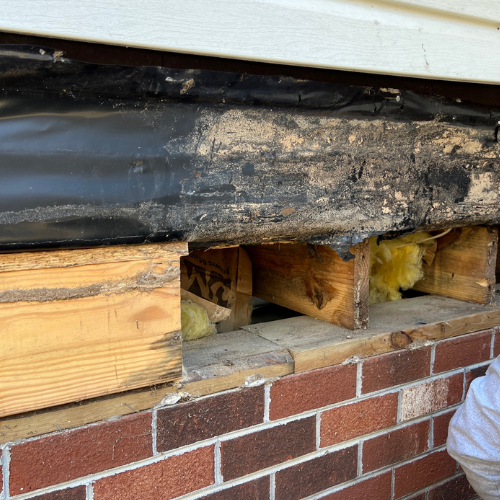Close-up of a building foundation with exposed wood framing, insulation, and damaged siding near the brick wall.