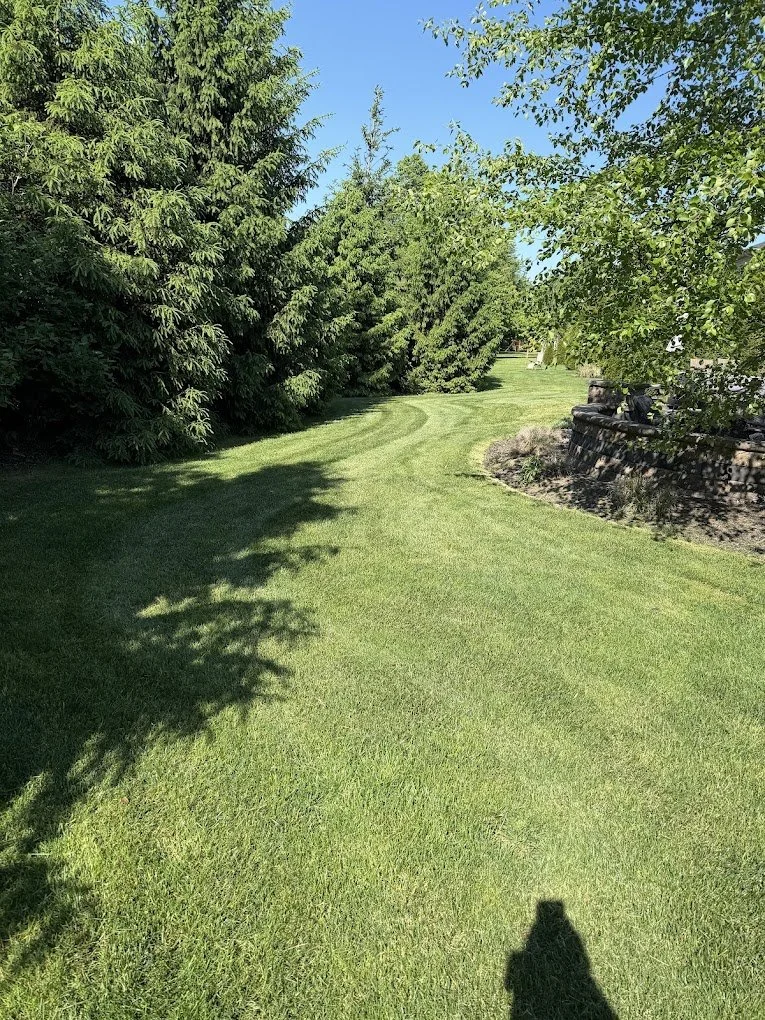 A lush green lawn flanked by tall trees on the left and a stone retaining wall on the right. Shadows cast by the trees are visible on the grass, with a clear blue sky overhead.