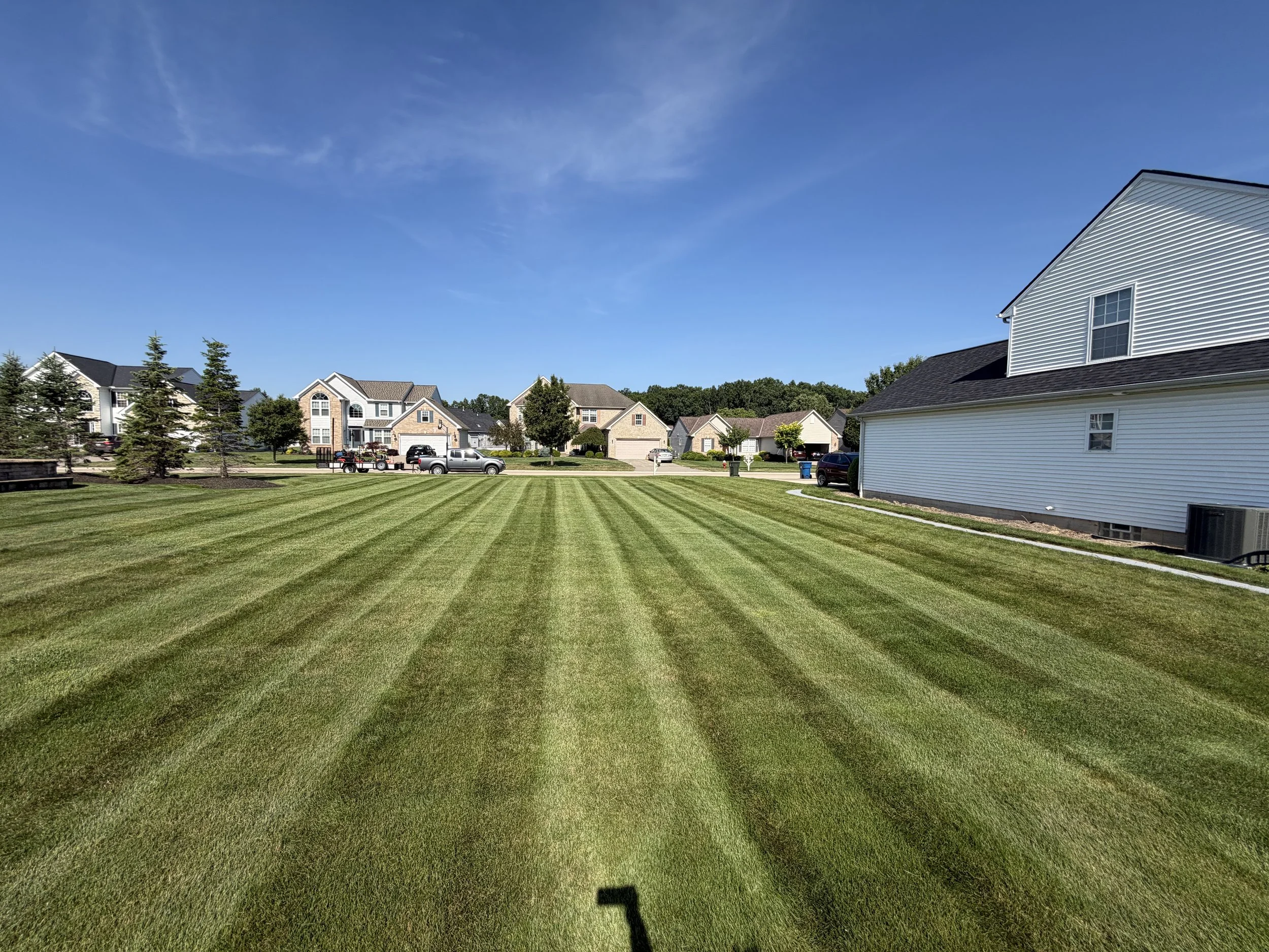 A neighborhood with well-maintained houses, manicured lawns, and trees under a blue sky with some wispy clouds.