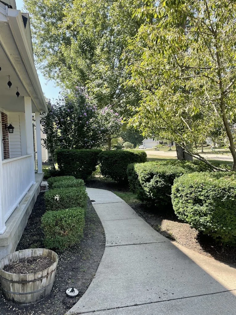 Curved concrete sidewalk in front of a house with lush green bushes and trees, sunlight casting shadows, and a weathered wooden barrel planter at the edge.