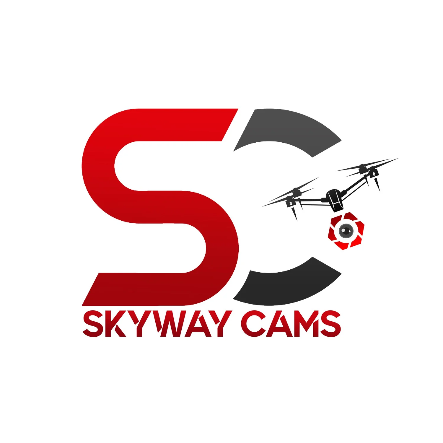Skyway Cams