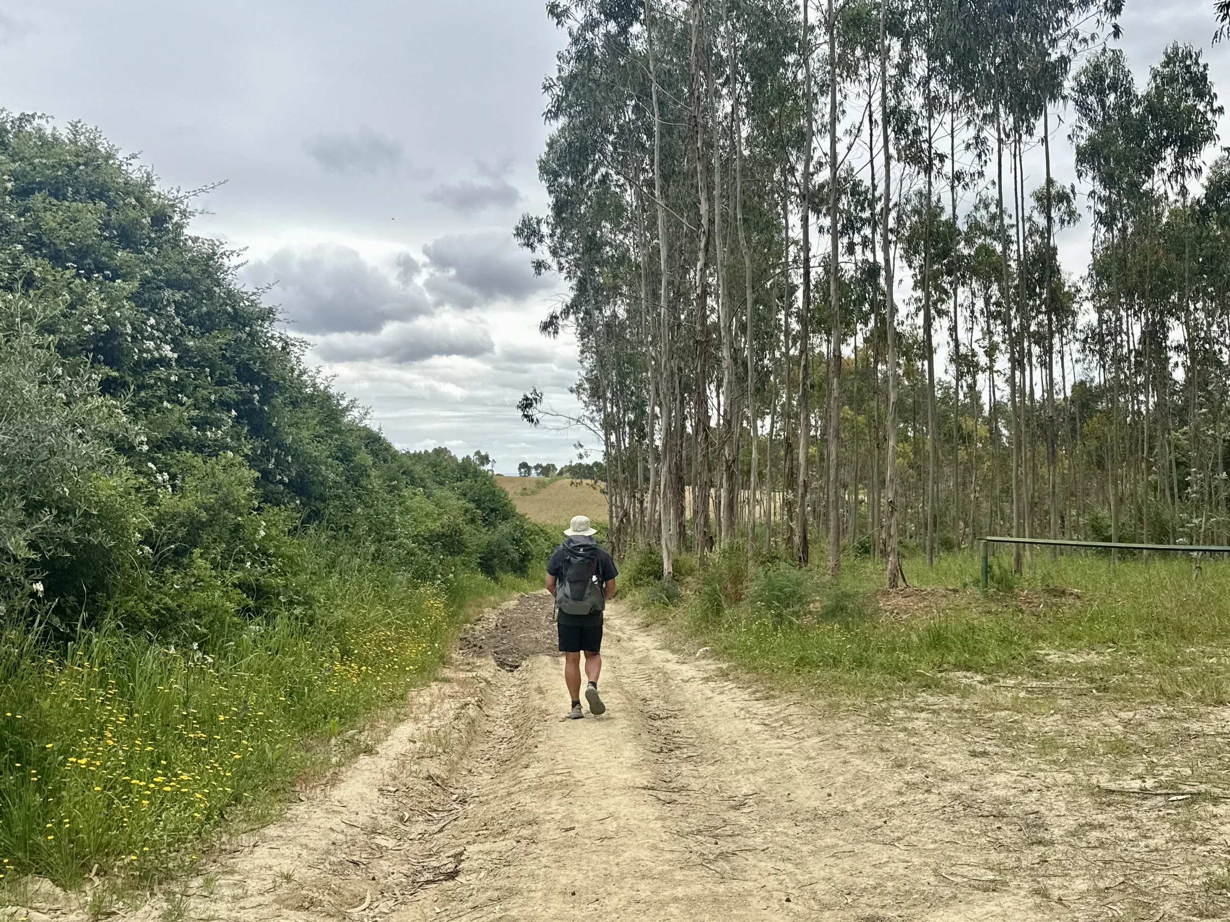 DJI_20260502_113655_104.jpeg