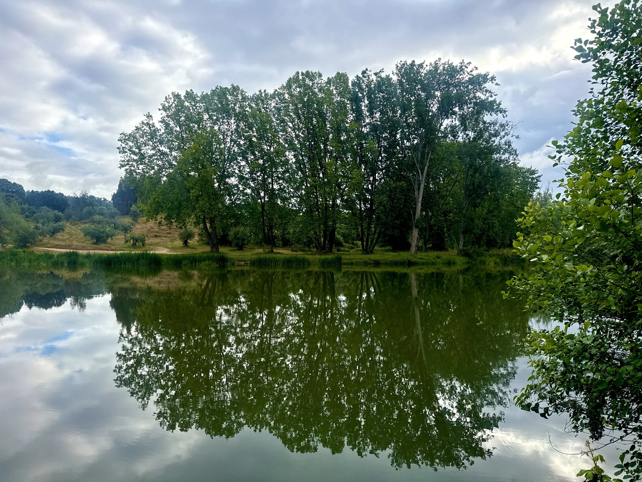 DJI_20260504_084529_043.jpeg