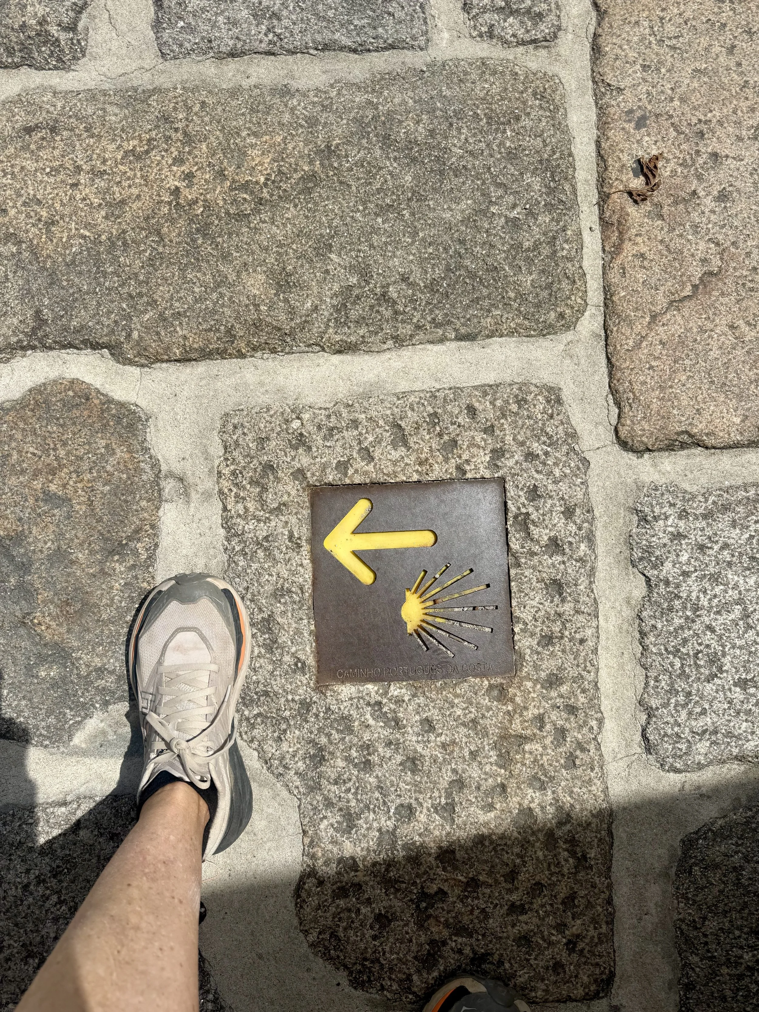 IMG_9971.jpeg