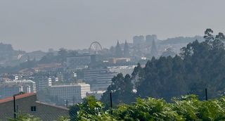 IMG_5035.png