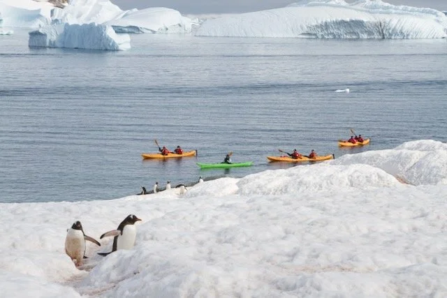 Antarctica - Different Shades of Wow 