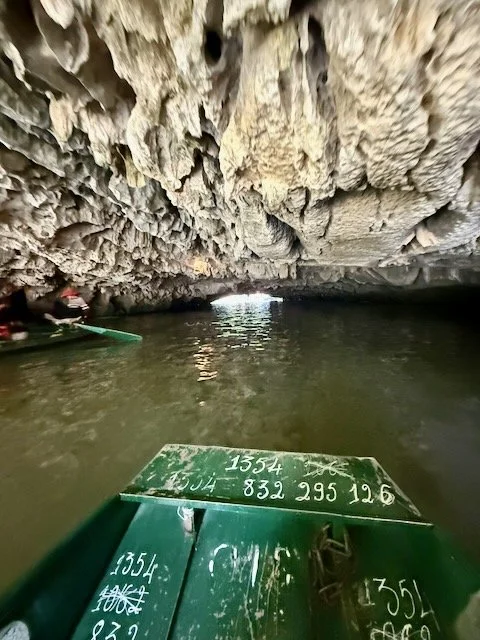 IMG_7382.jpeg