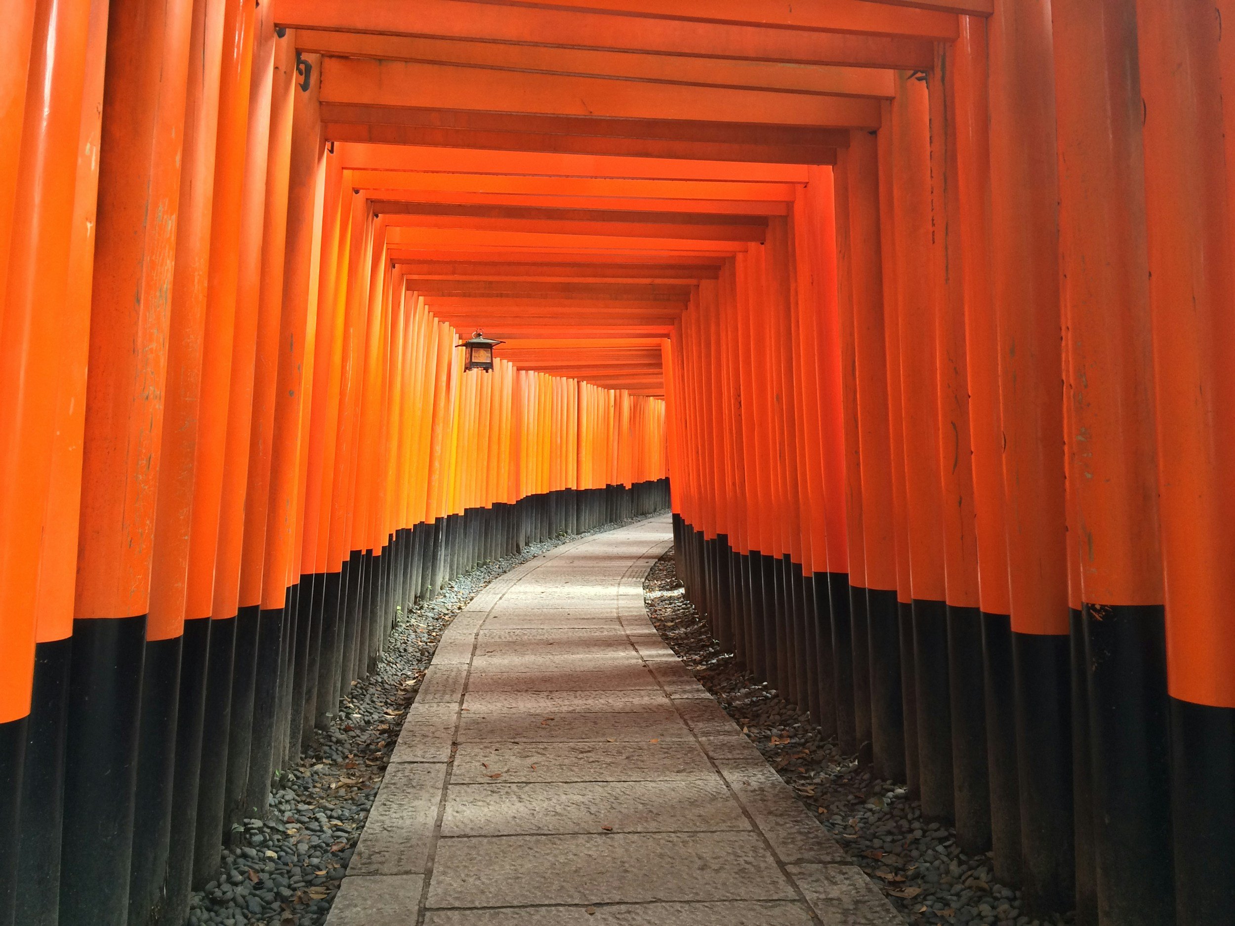A pathway framed by bright orange torii gates at a Japanese shrine or temple.