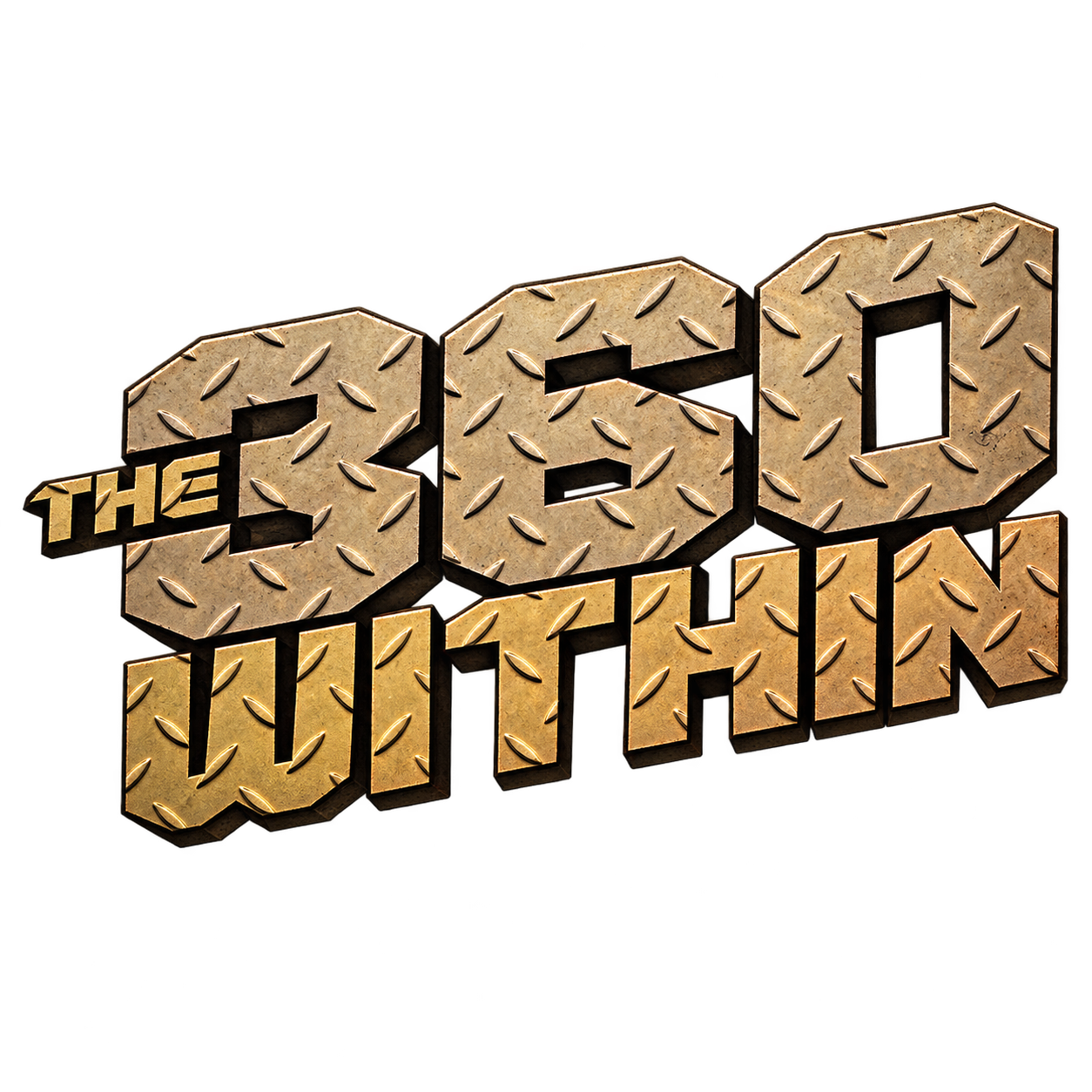THE 360 WITHIN 